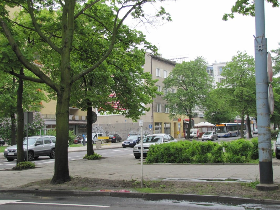 Biały Kot - Kocia Kawiarnia