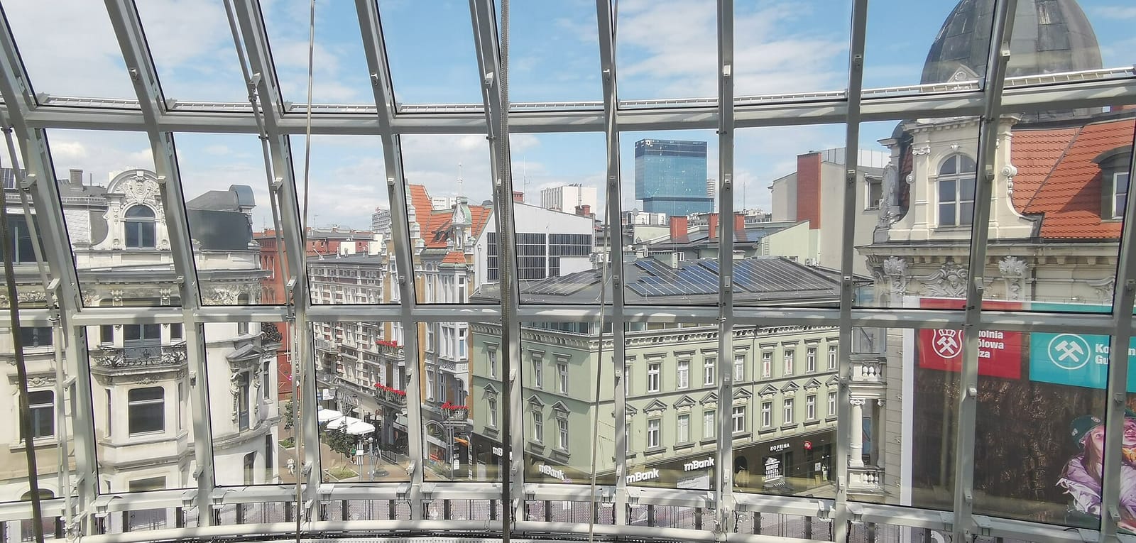 Mięta Malina