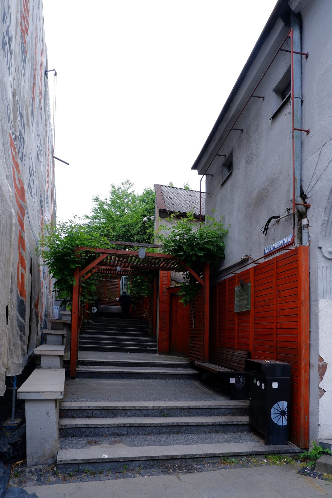 Pianka Cafe photo 2