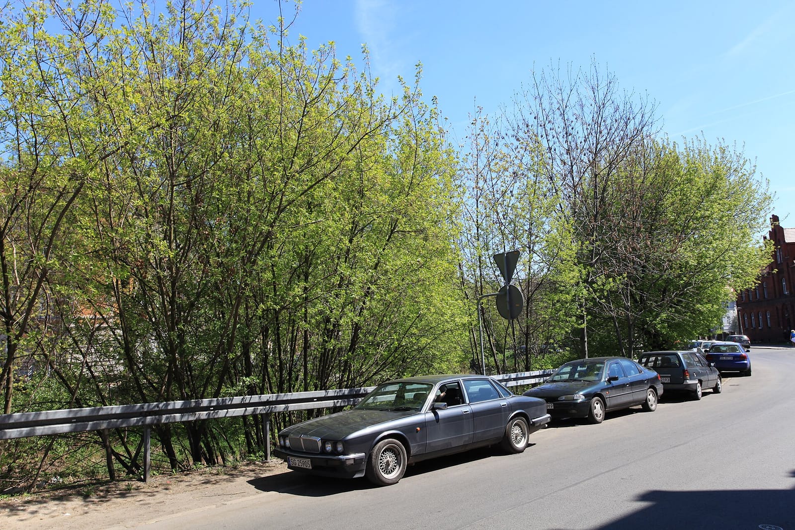 Concord MDJ photo 3