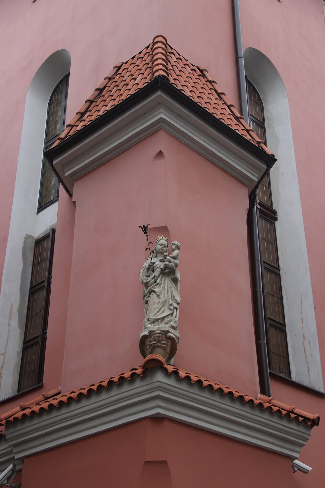 Różove photo 2