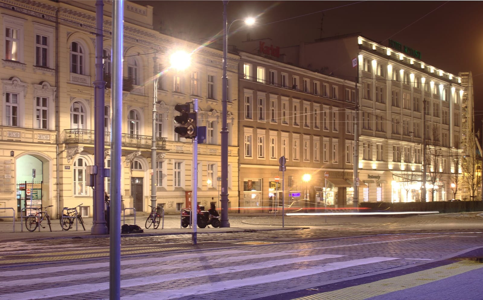 Roślinna photo 3