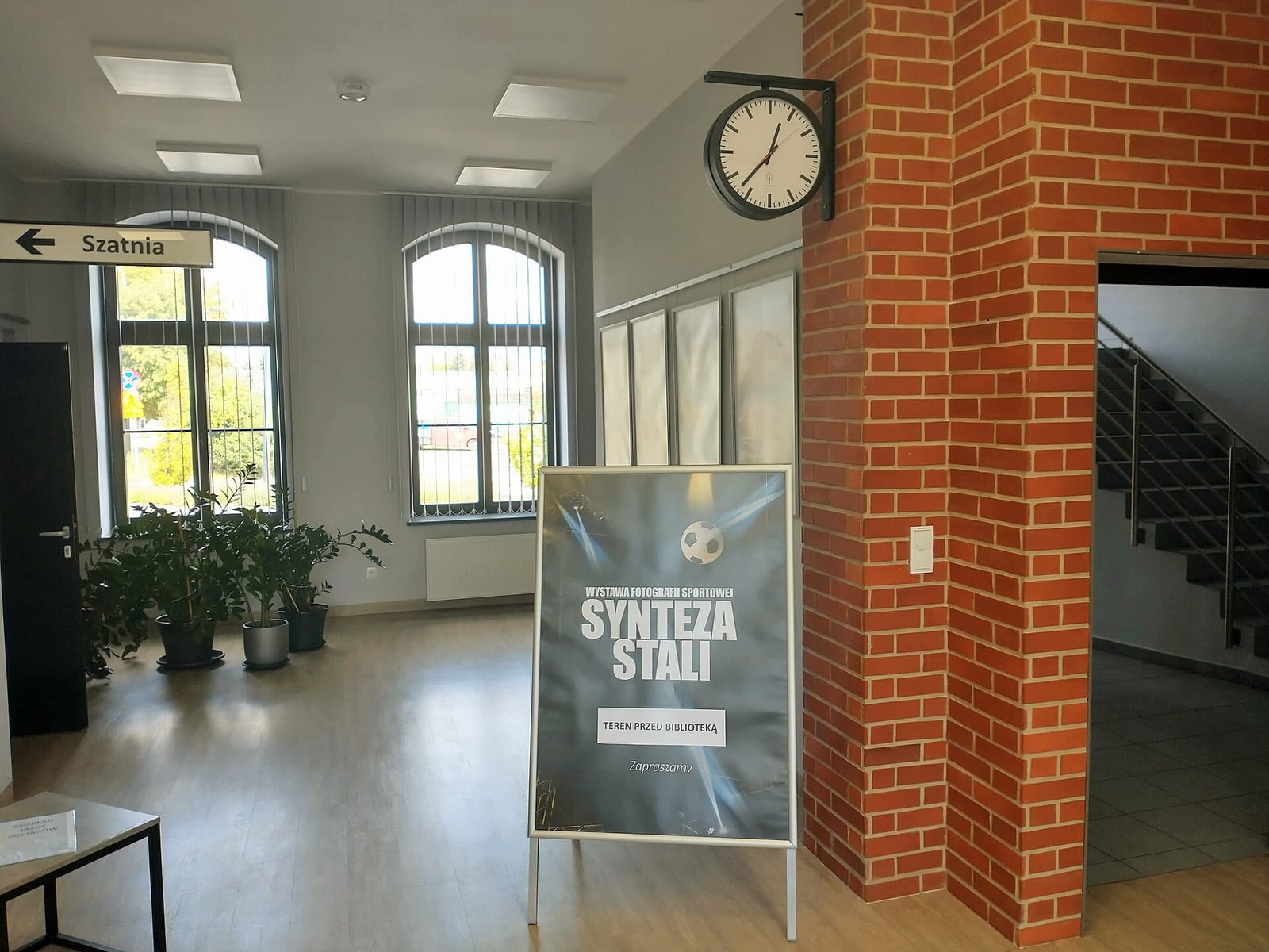 Słotka Stokrotka photo 4