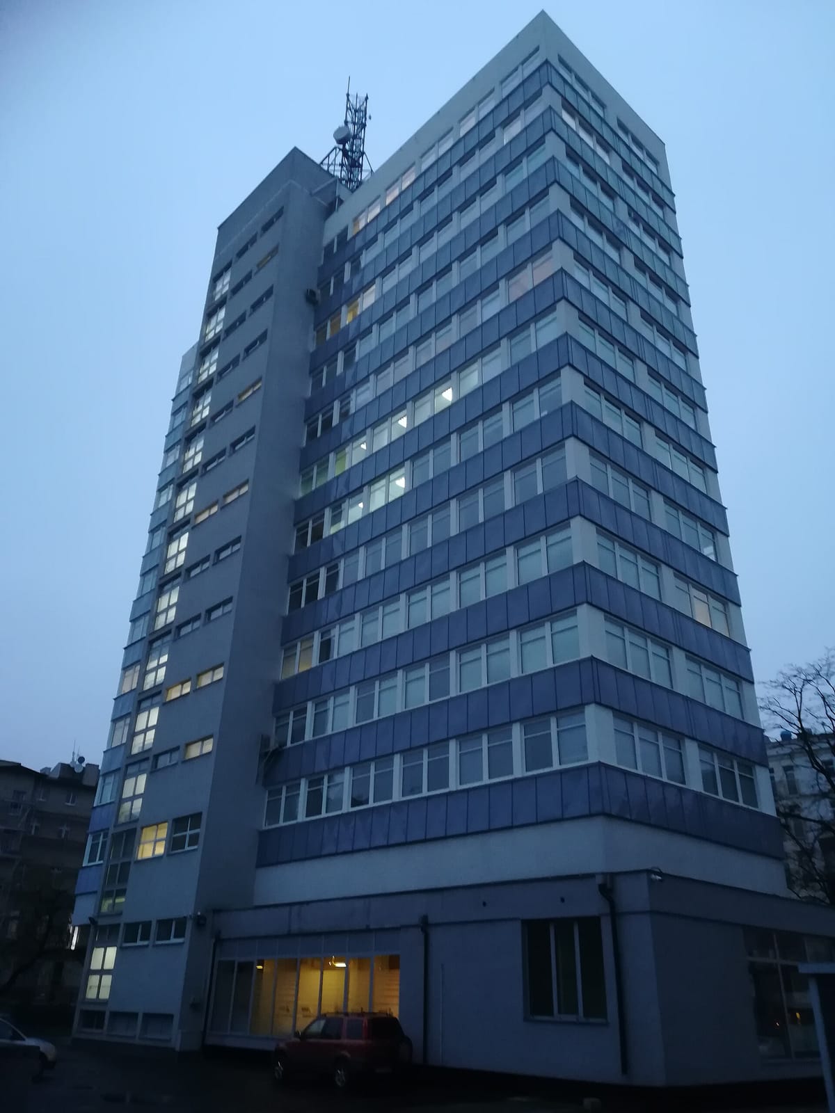 Kocimiętka