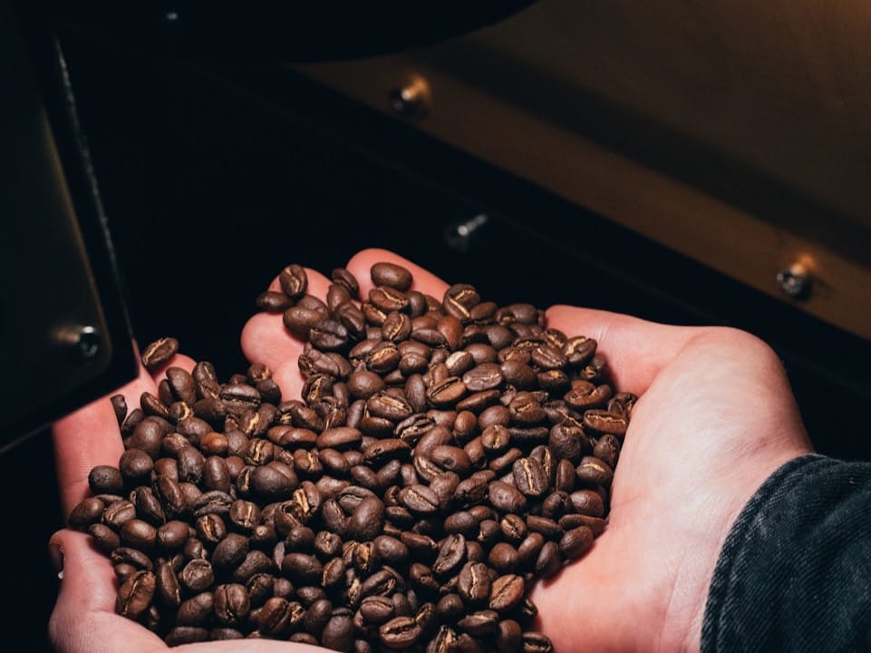 Dazbog Coffee photo 3