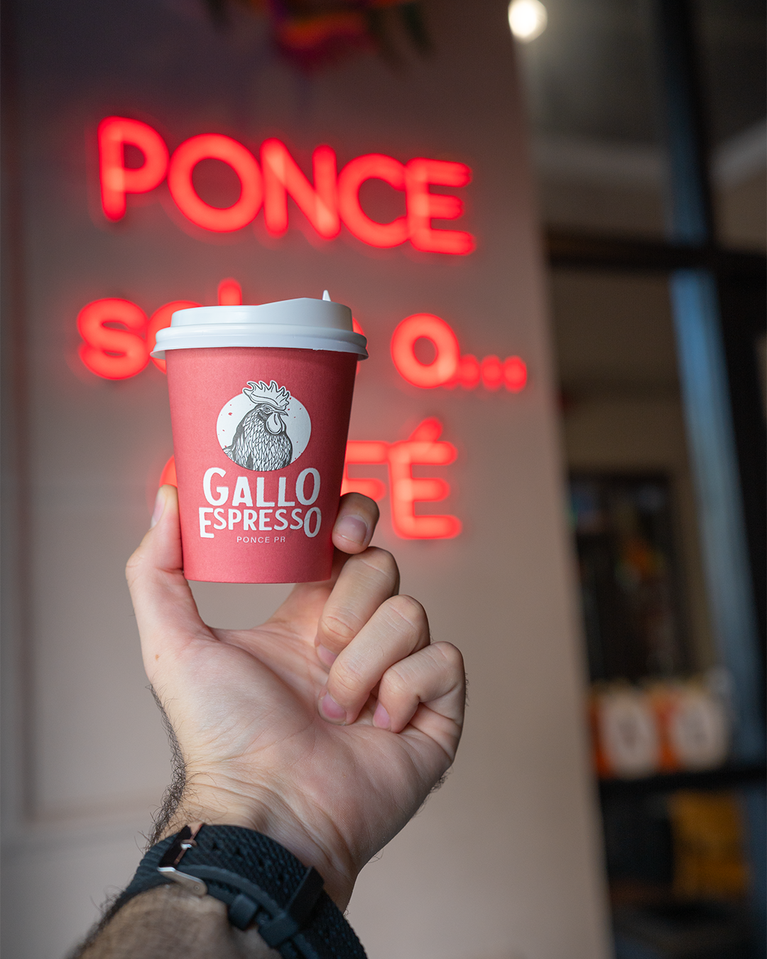 Gallo Espresso Café Bar photo 4