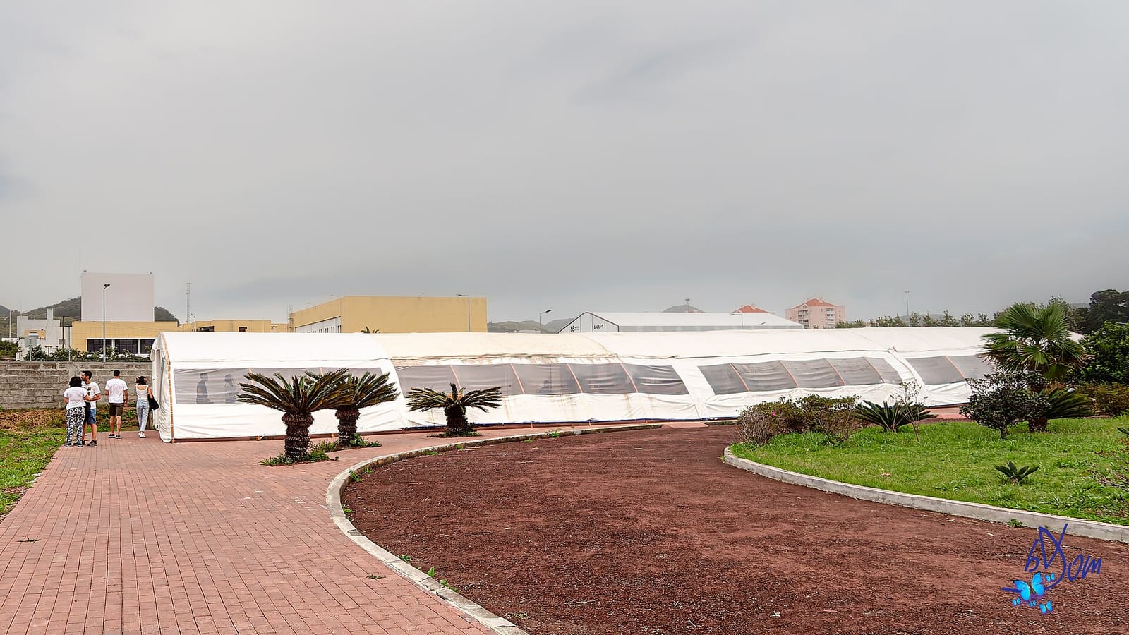 Plantacao da Ananas dos Acores photo 4
