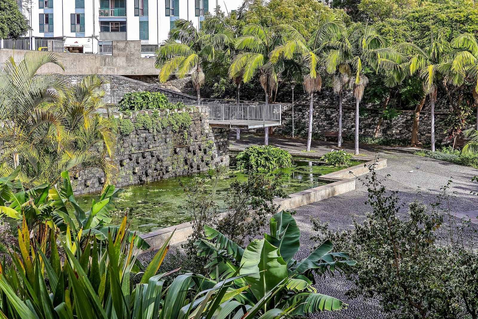 Jardim de Santa Luzia photo 2