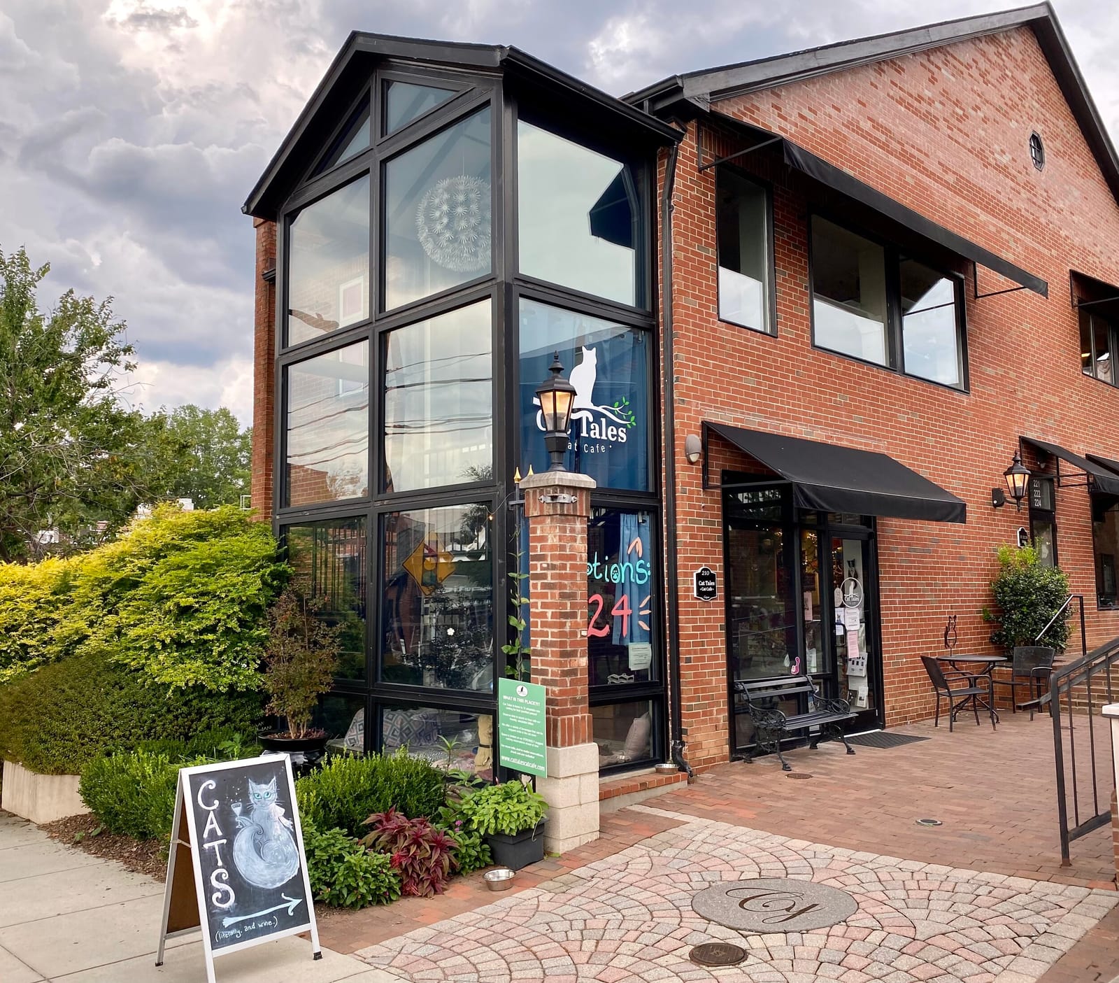 Cat Tales Cat Café