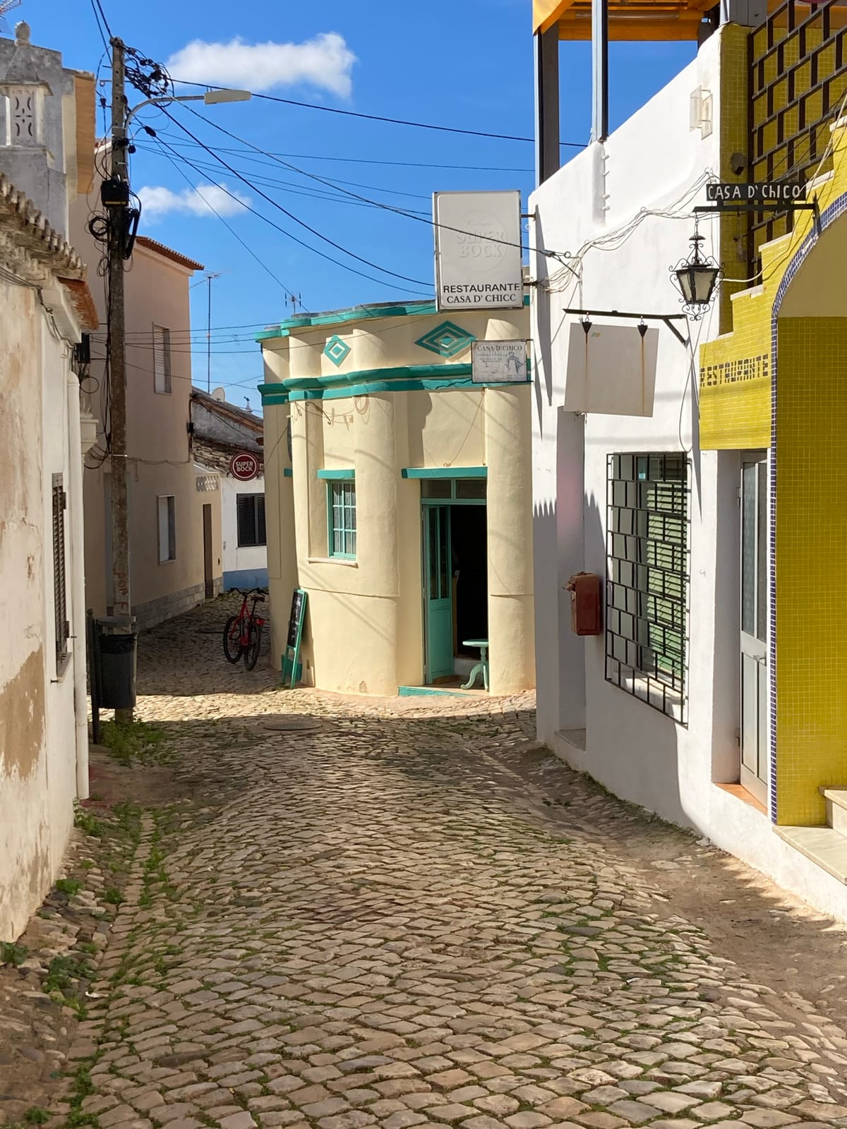 Andorinha do Mar