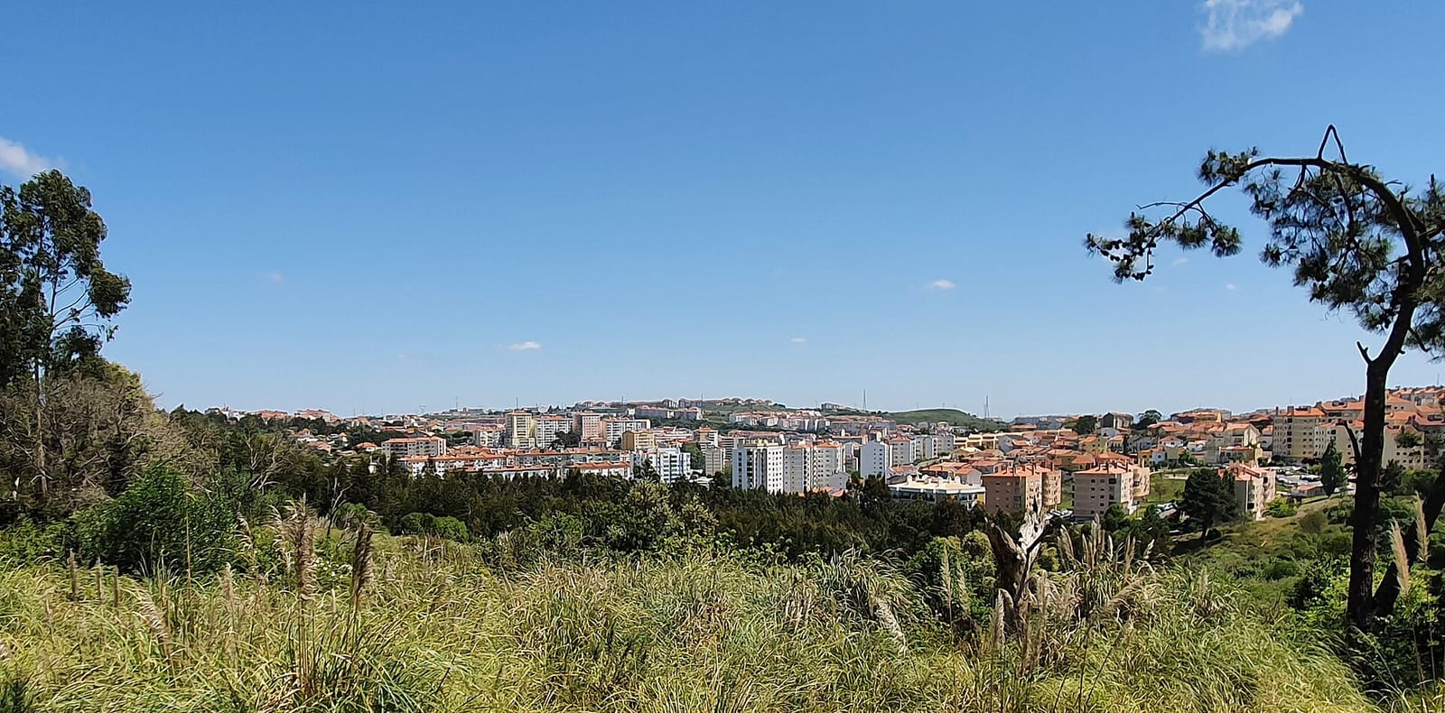 Esplanada photo 2