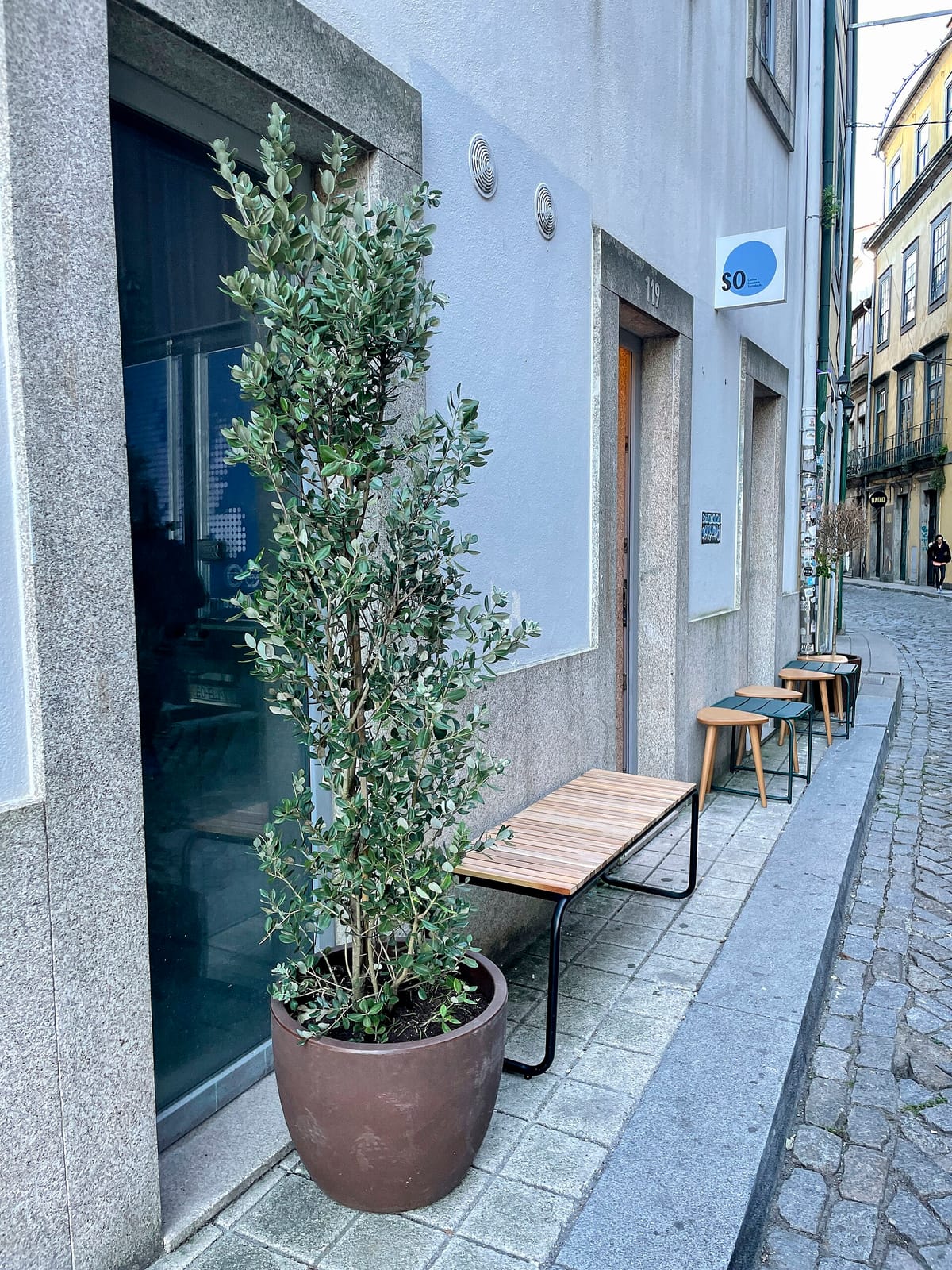 Diplomata photo 2