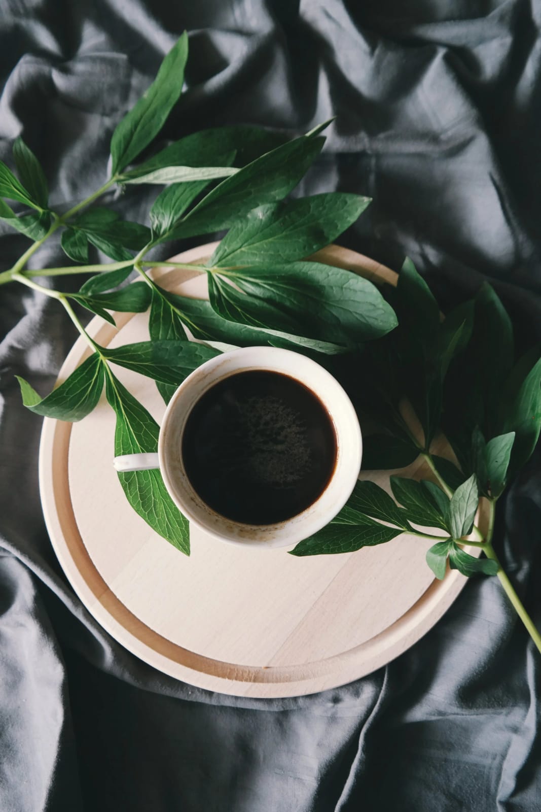 Beleza Coffee photo 4