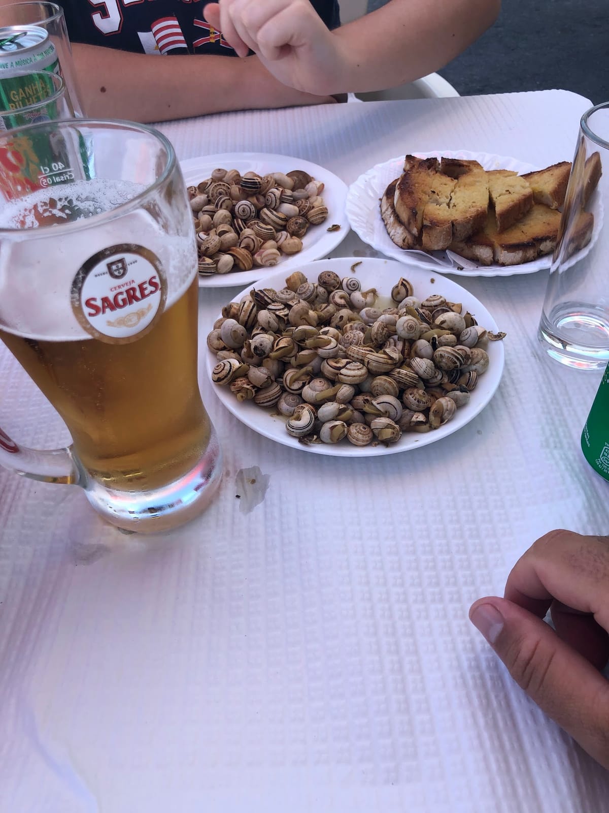 O Rancheiro