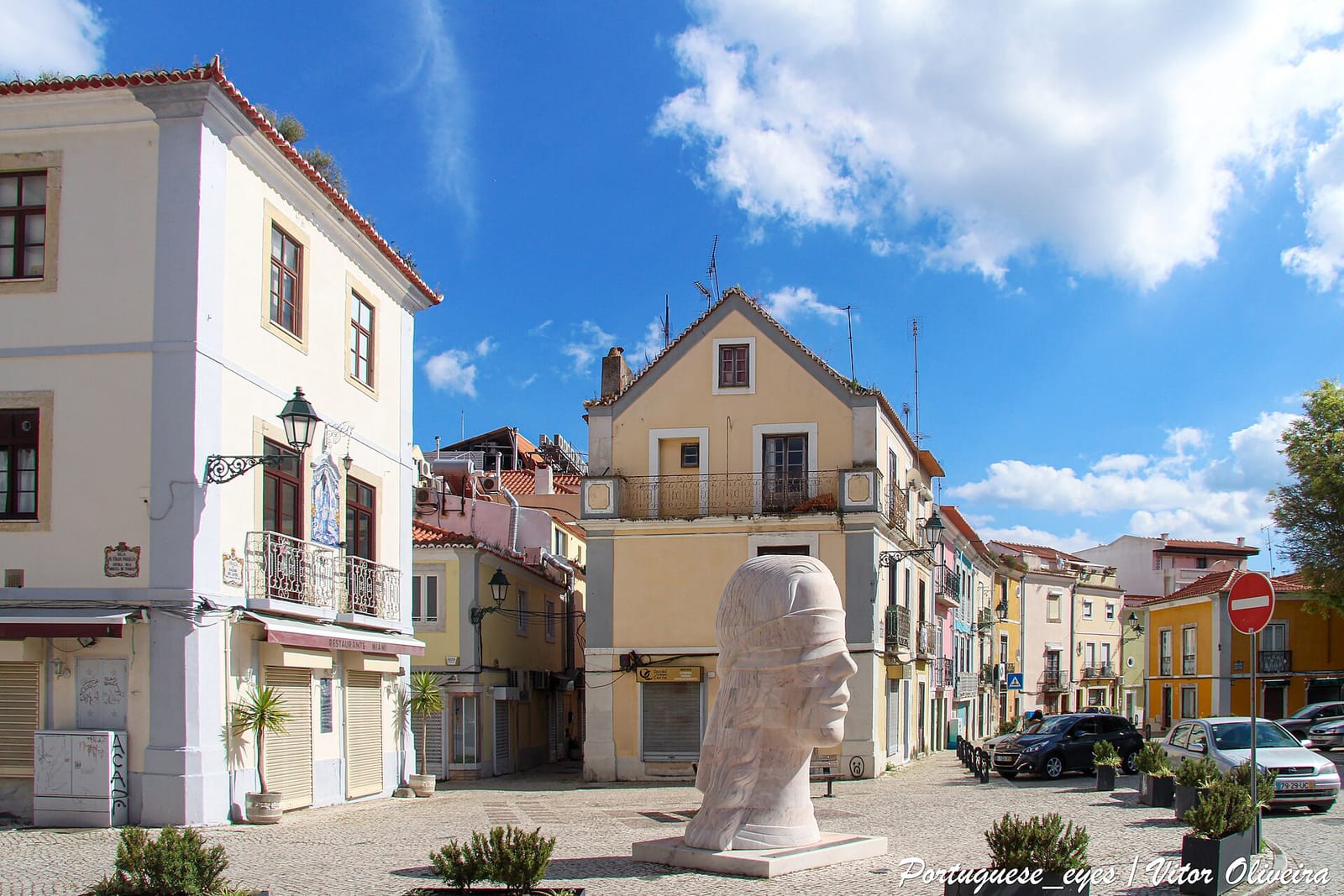 Bambú photo 4