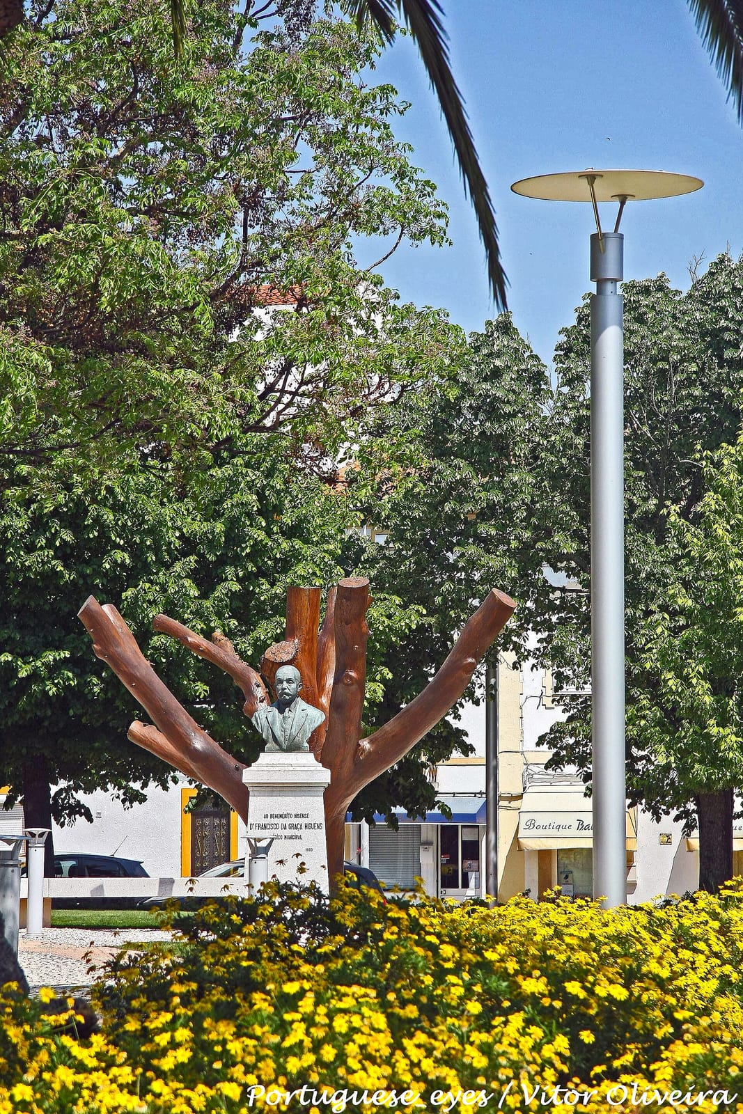 Pastelaria Jardim photo 3