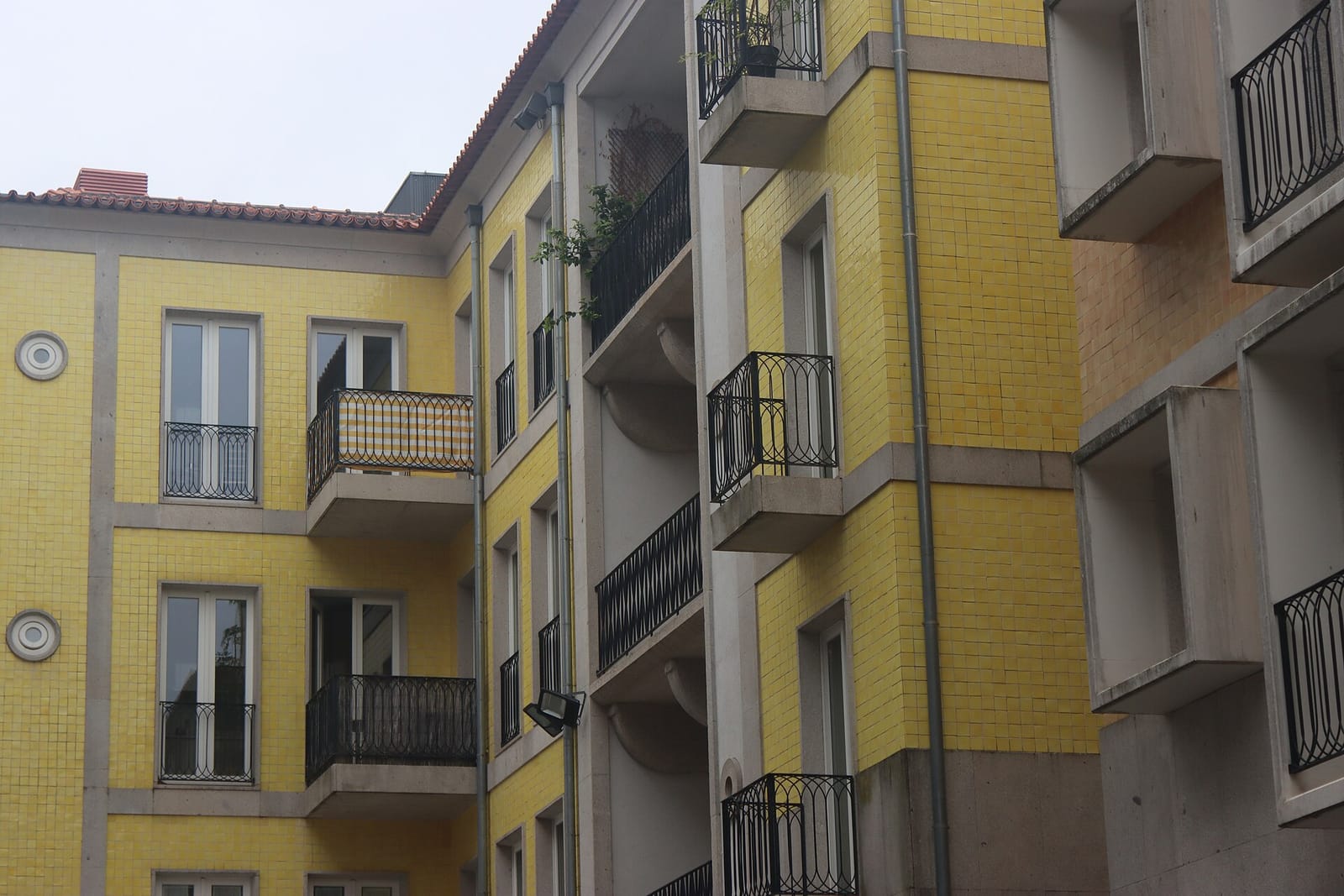Nata Lisboa