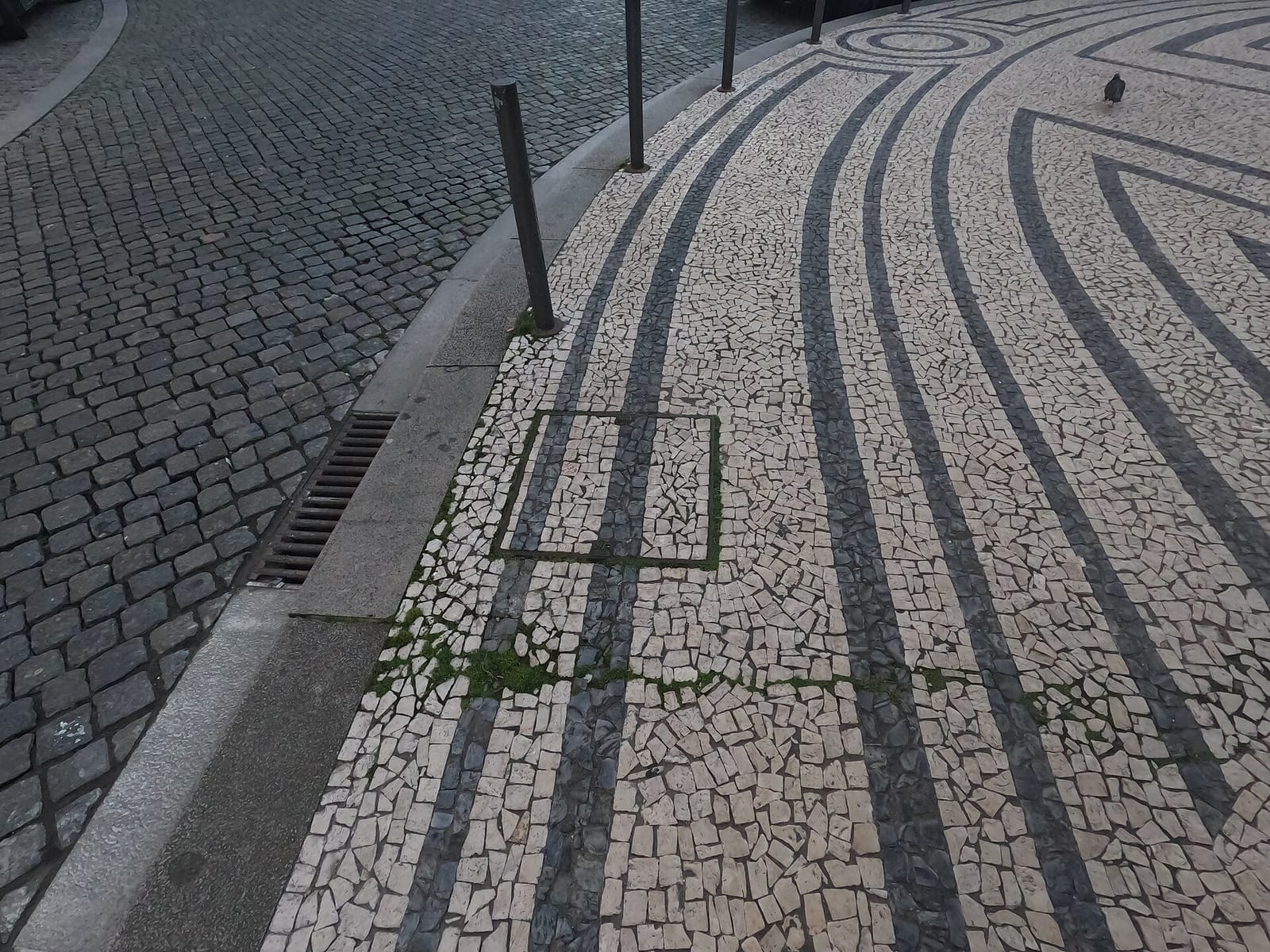 Zenith Porto photo 3