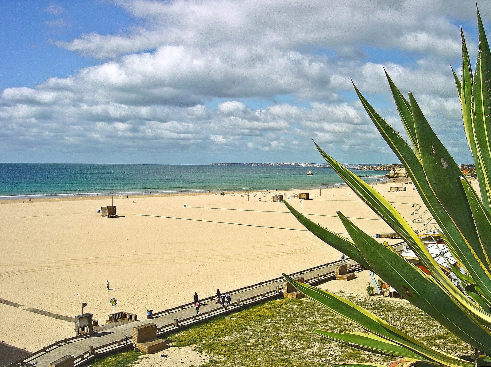 Palmar photo 5