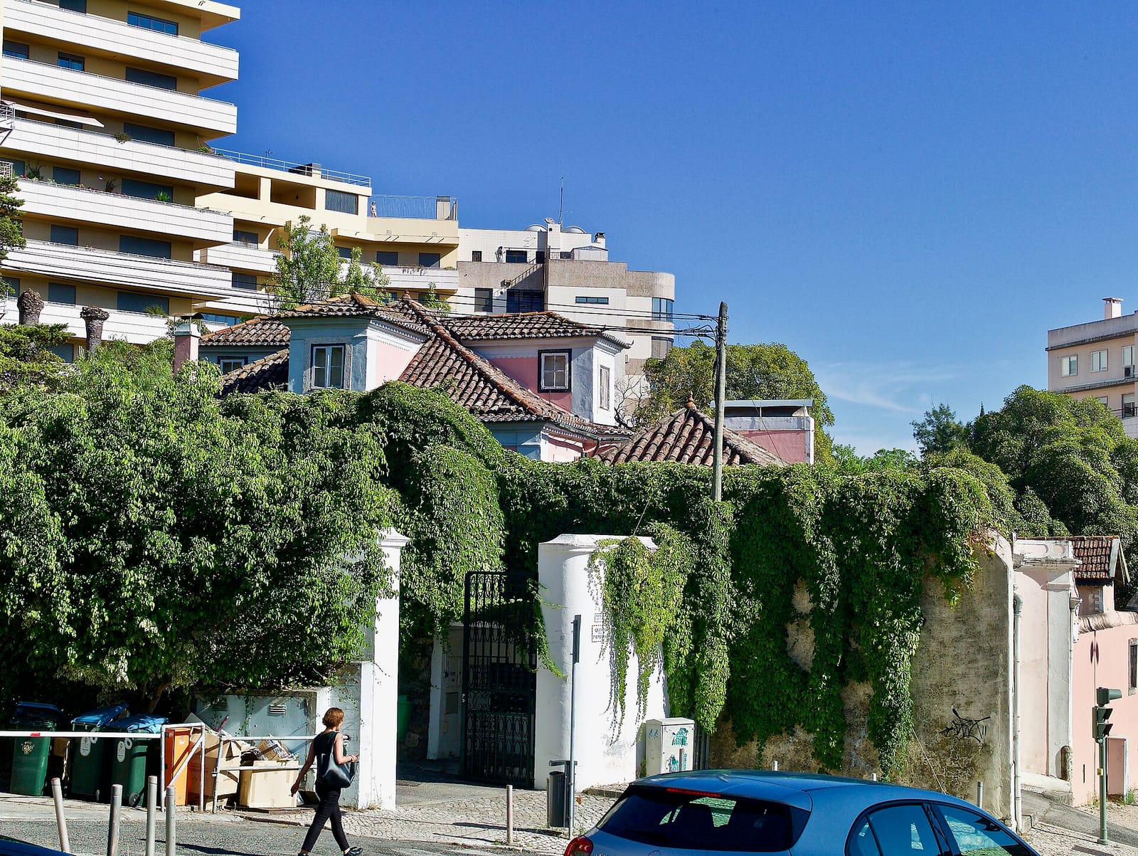 Cafetaria Orquídea