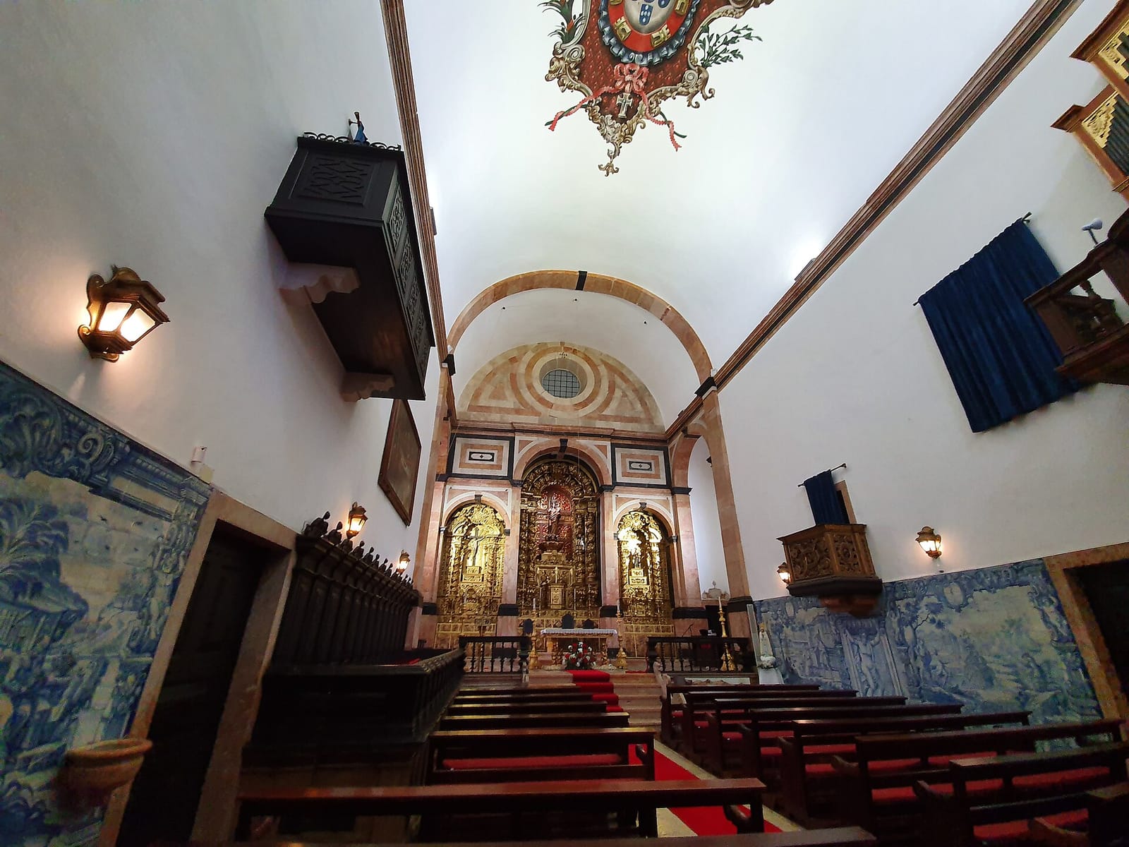 Havaneza photo 3