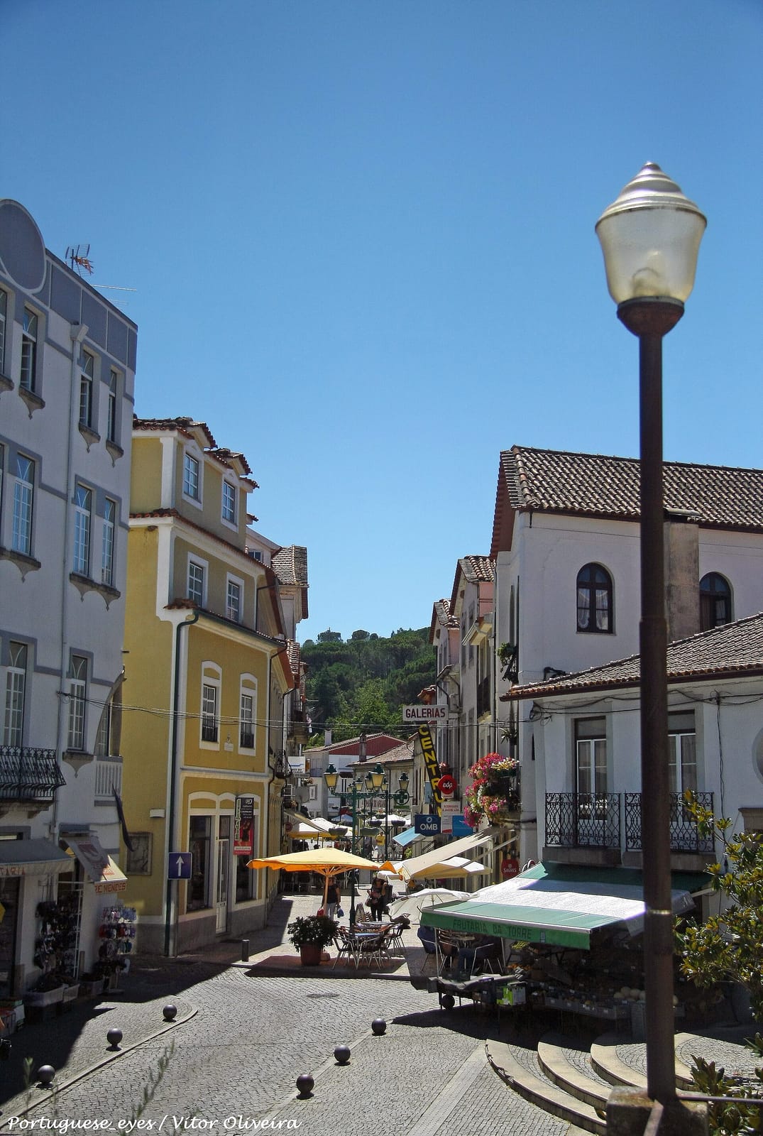 Leitaria Progresso