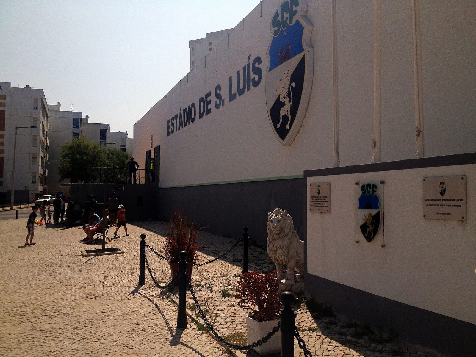 Laços Modernos photo 3
