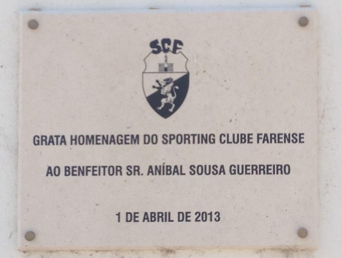 Laços Modernos photo 5