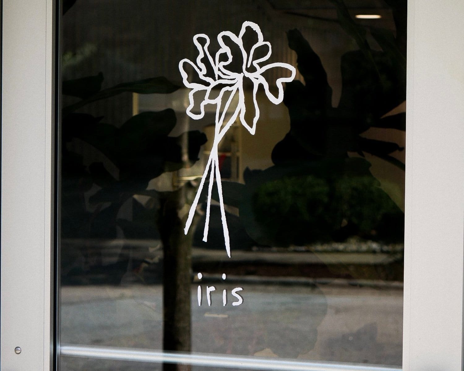 Iris Coffee Lab photo 2