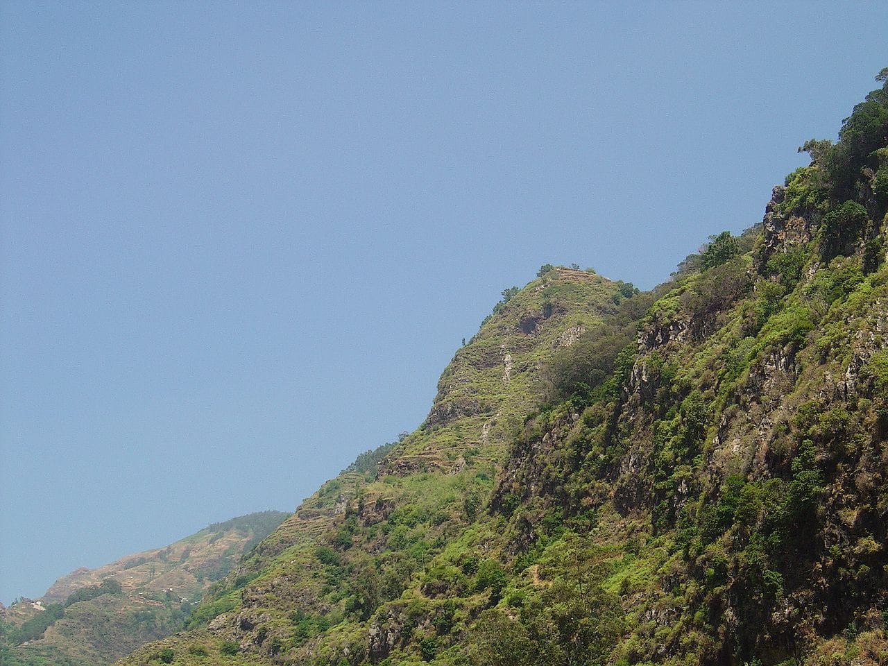 A Cafetaria [na.ribeira brava] photo 2