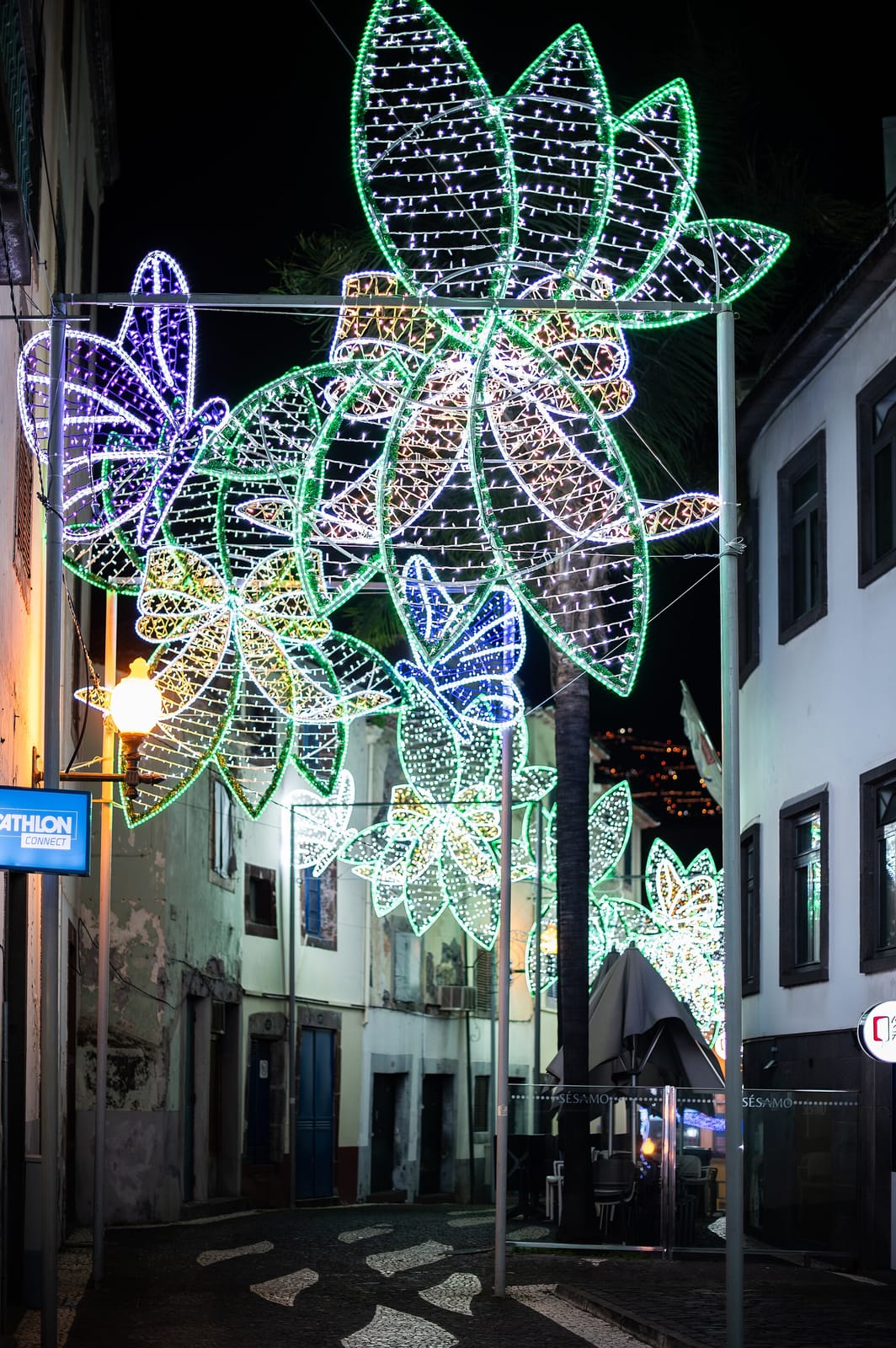 Black Pearl photo 2