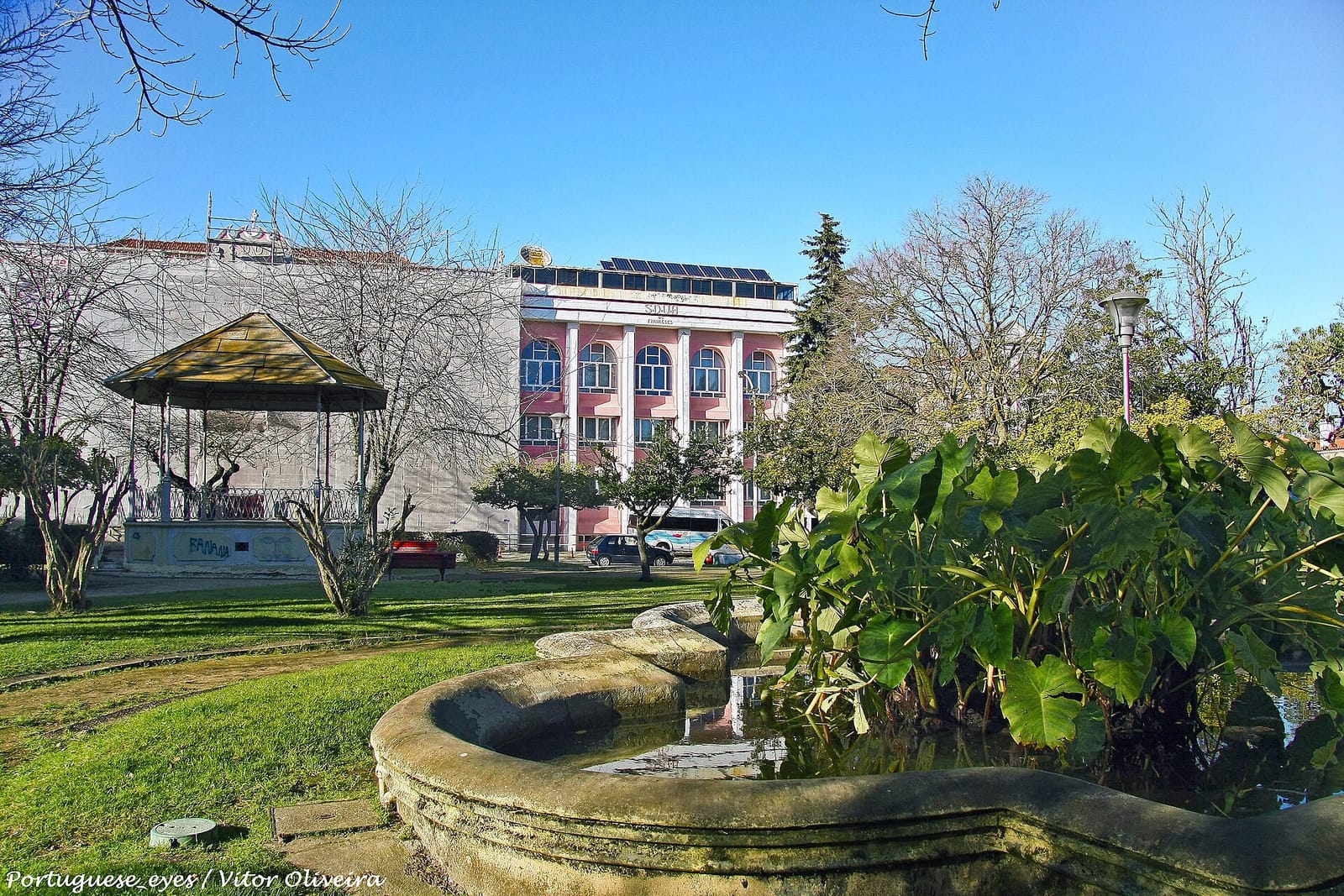 cafe Jardim photo 2