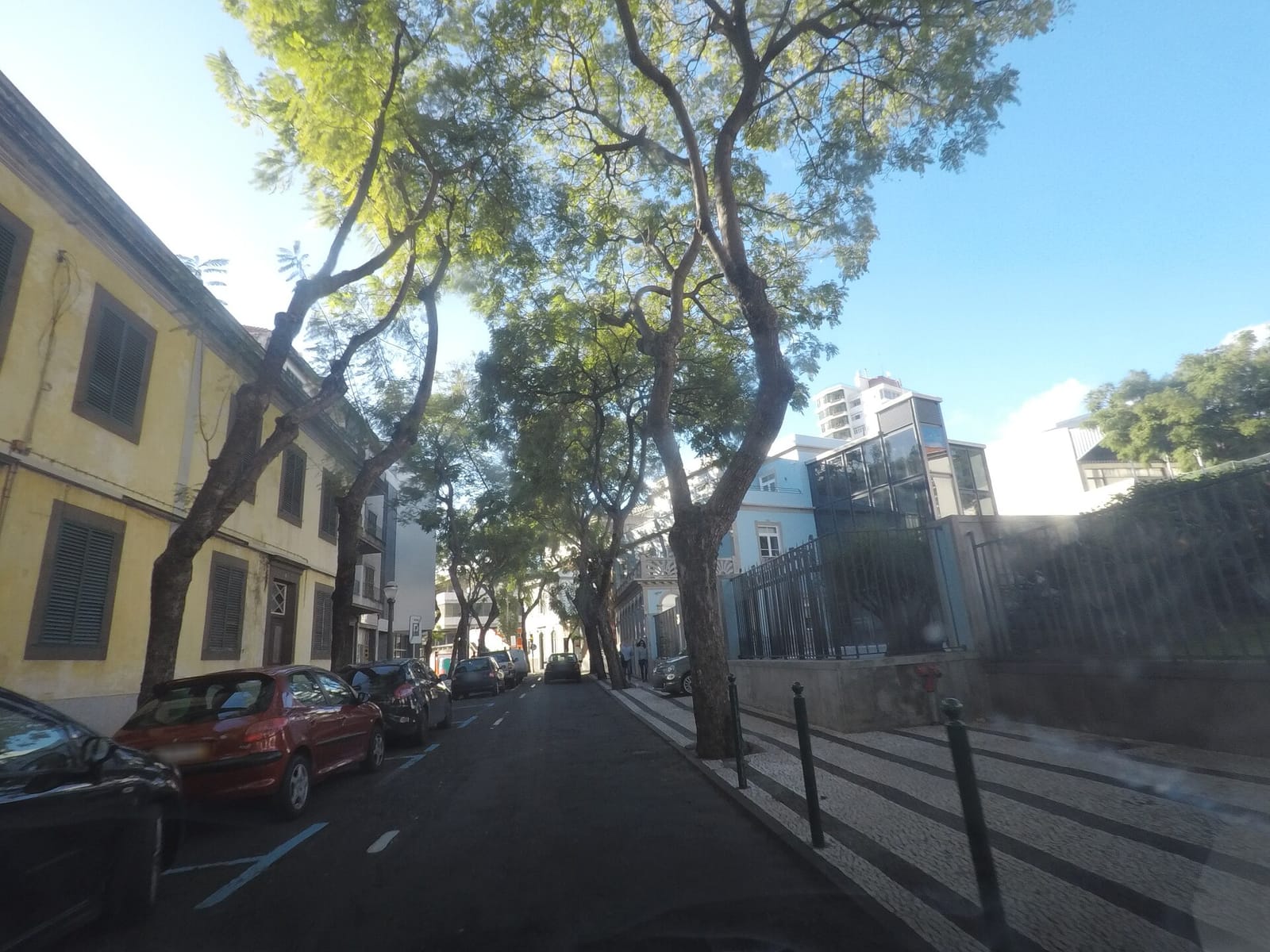 Nata7 photo 3