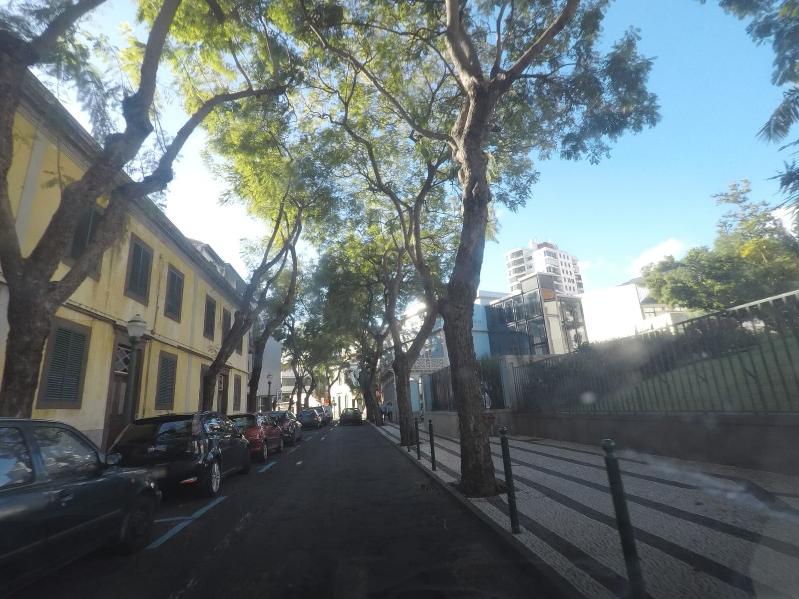 Nata7 photo 2