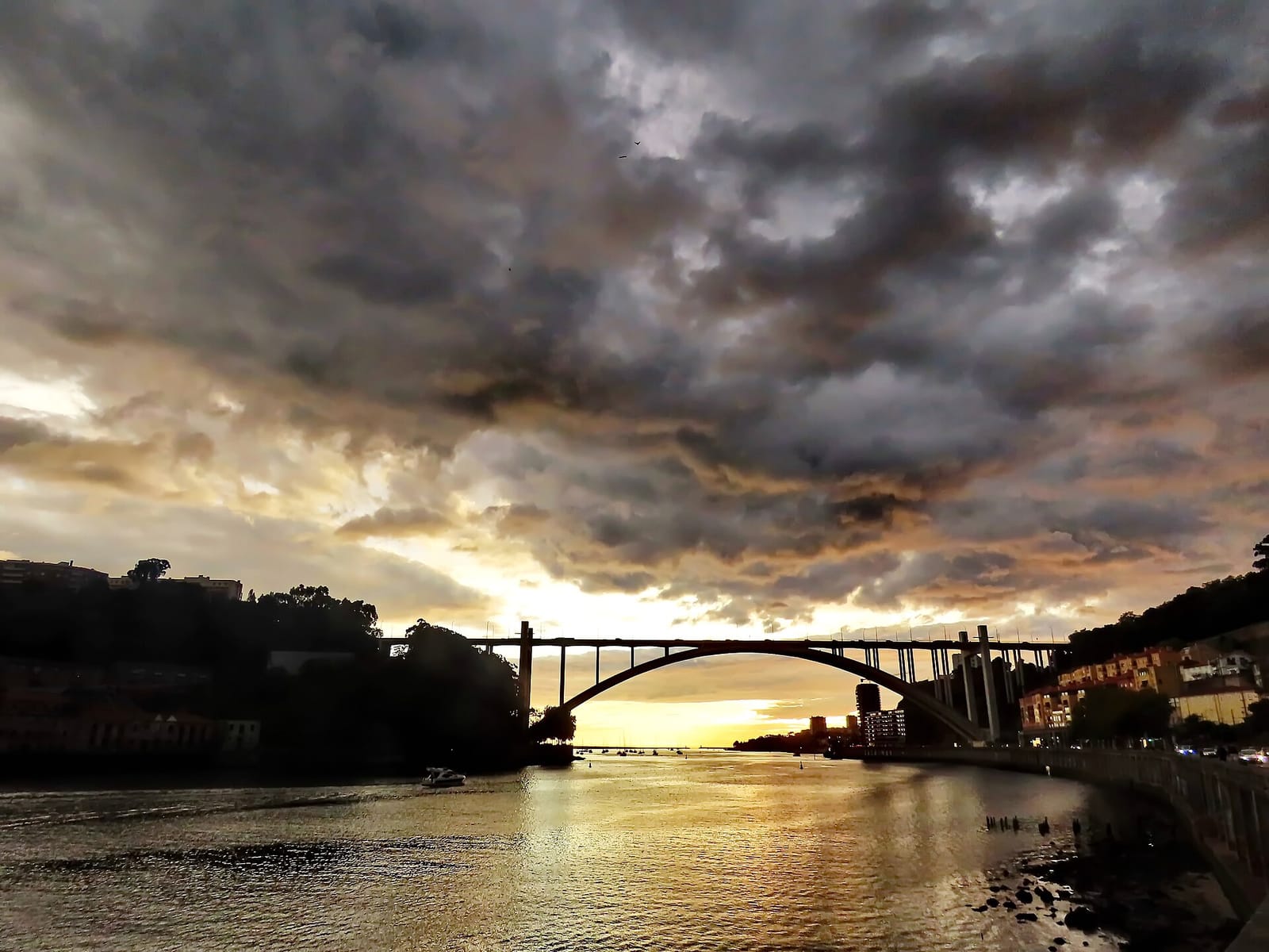 Portilho photo 2