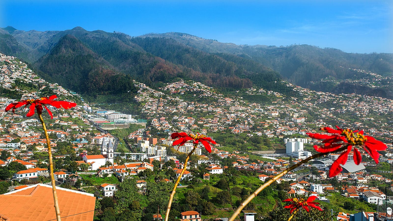 Do Pico photo 4