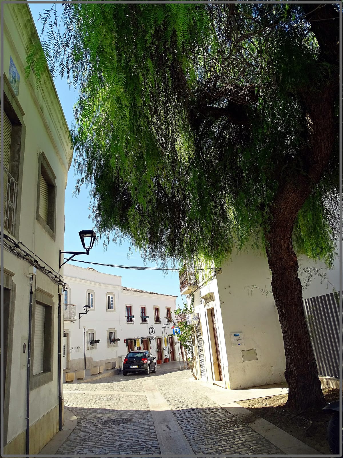 Café Calcinha photo 3