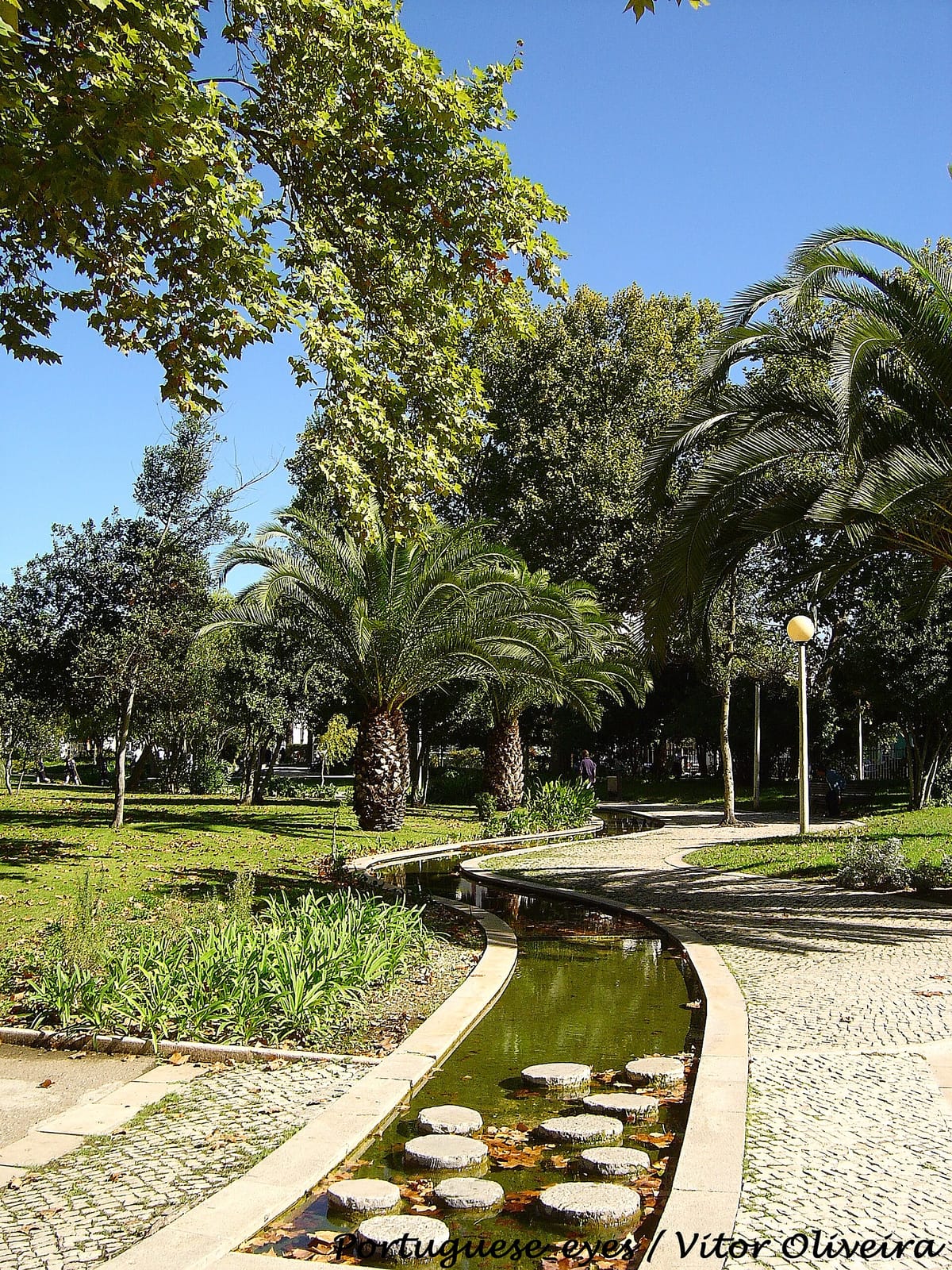 Viva Setúbal photo 2