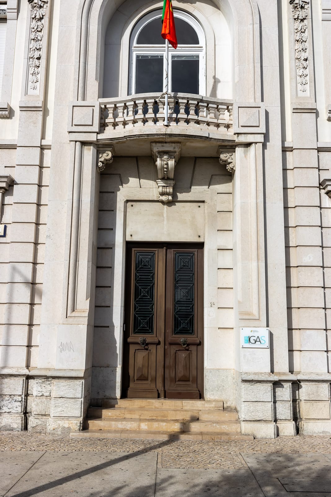 Mr. Chips photo 4