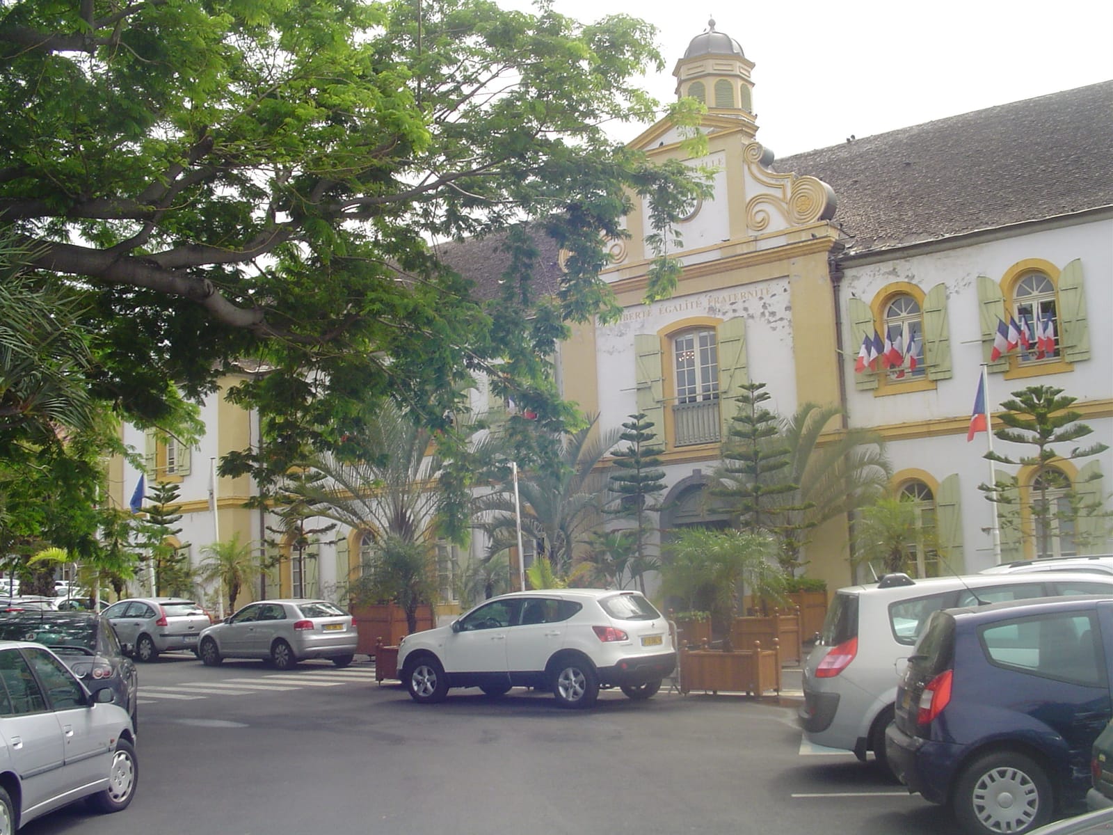 Coffee and Travel photo 3
