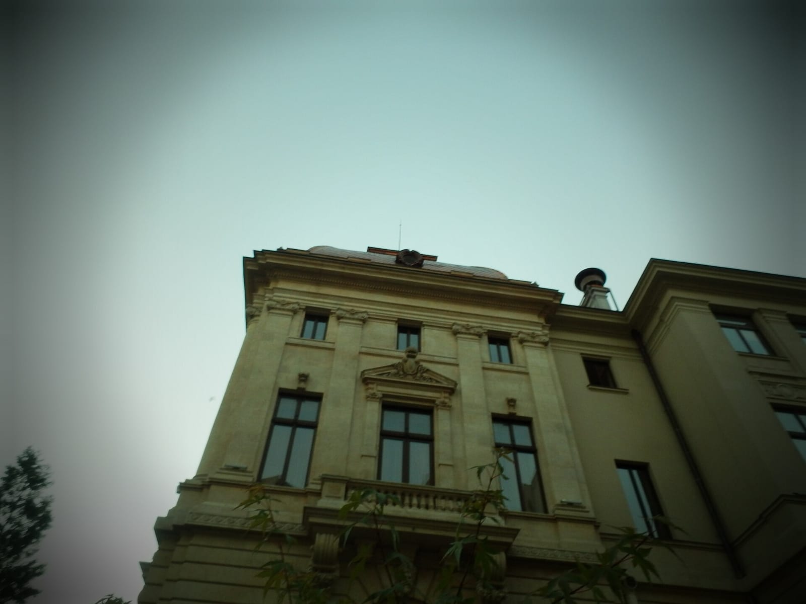 Gregory's photo 3