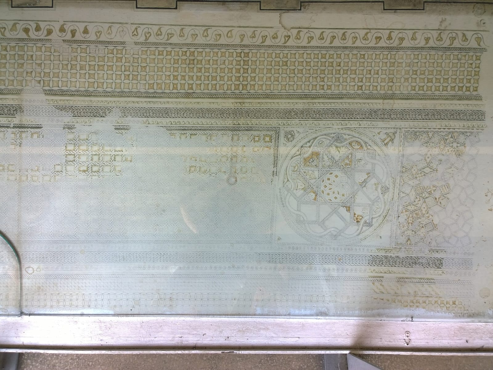 Hyps025 photo 3