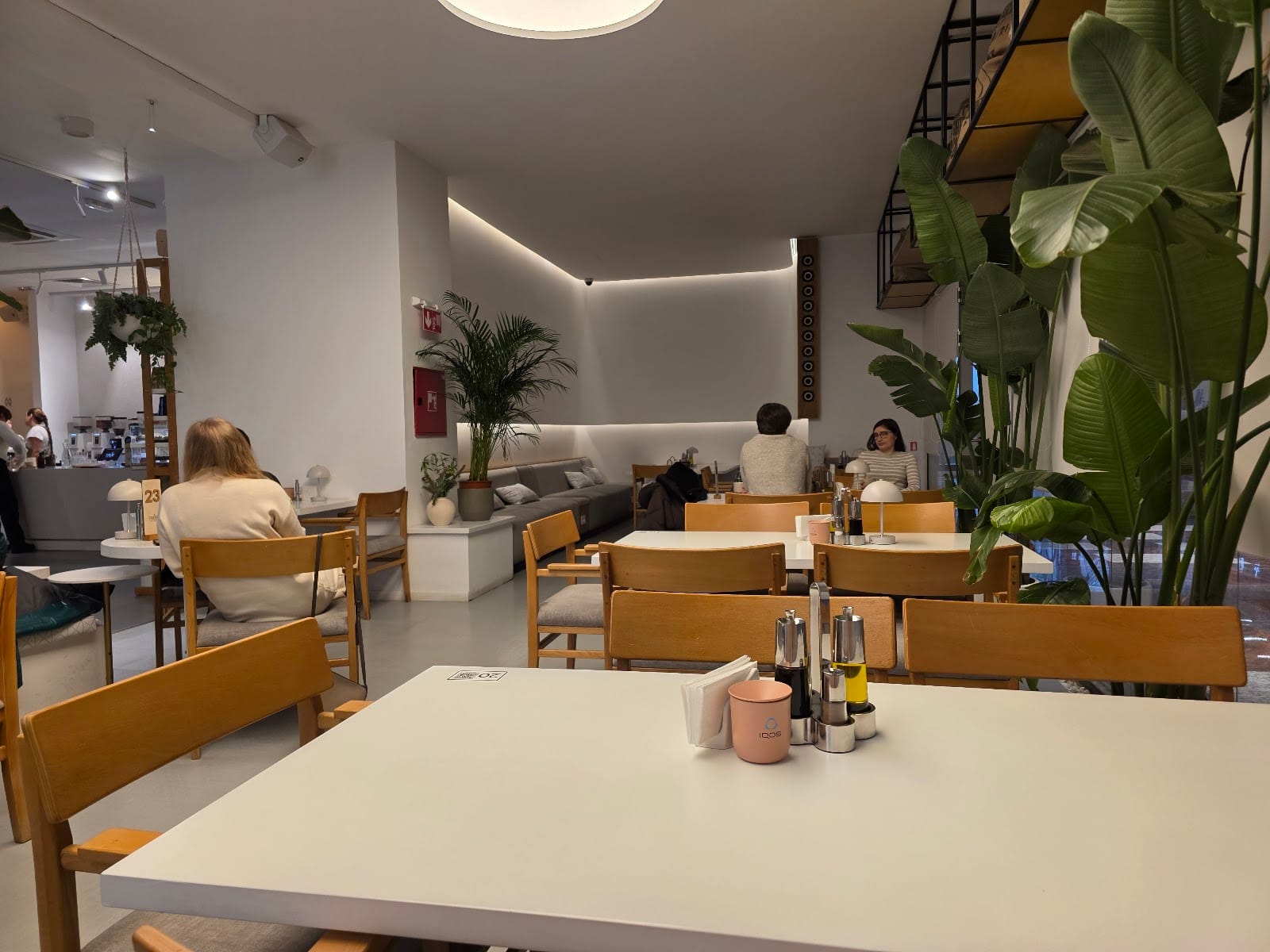 True Fine Coffee
