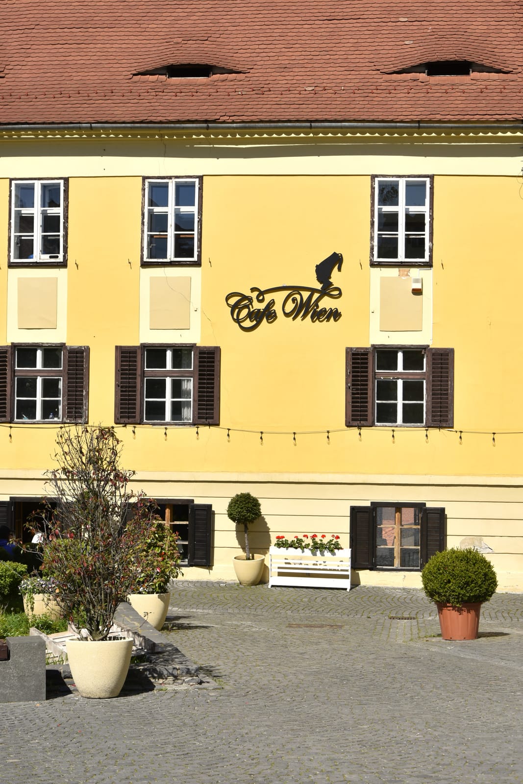 Cafe Wien photo 2