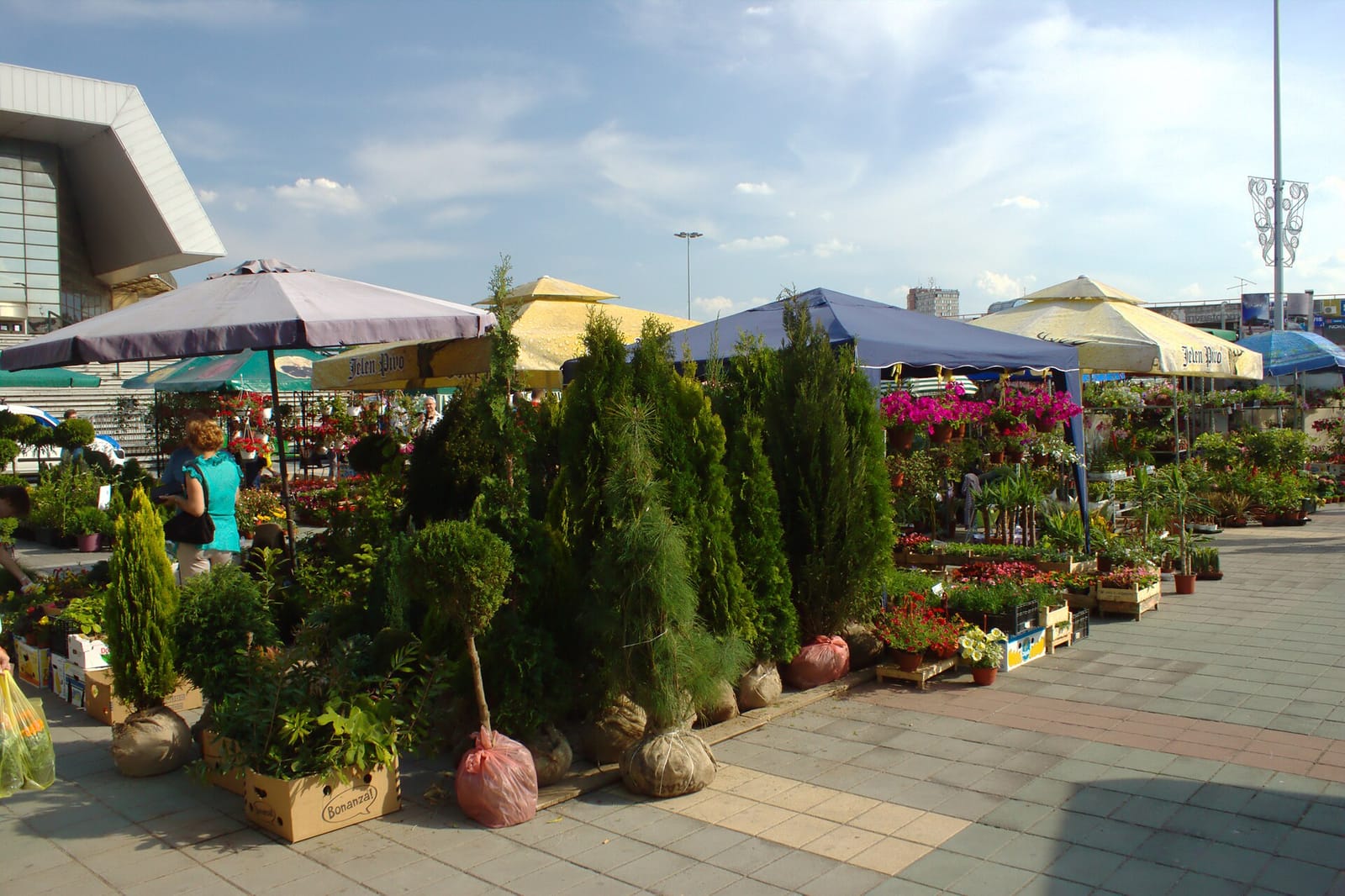 Шећер & Soul photo 3