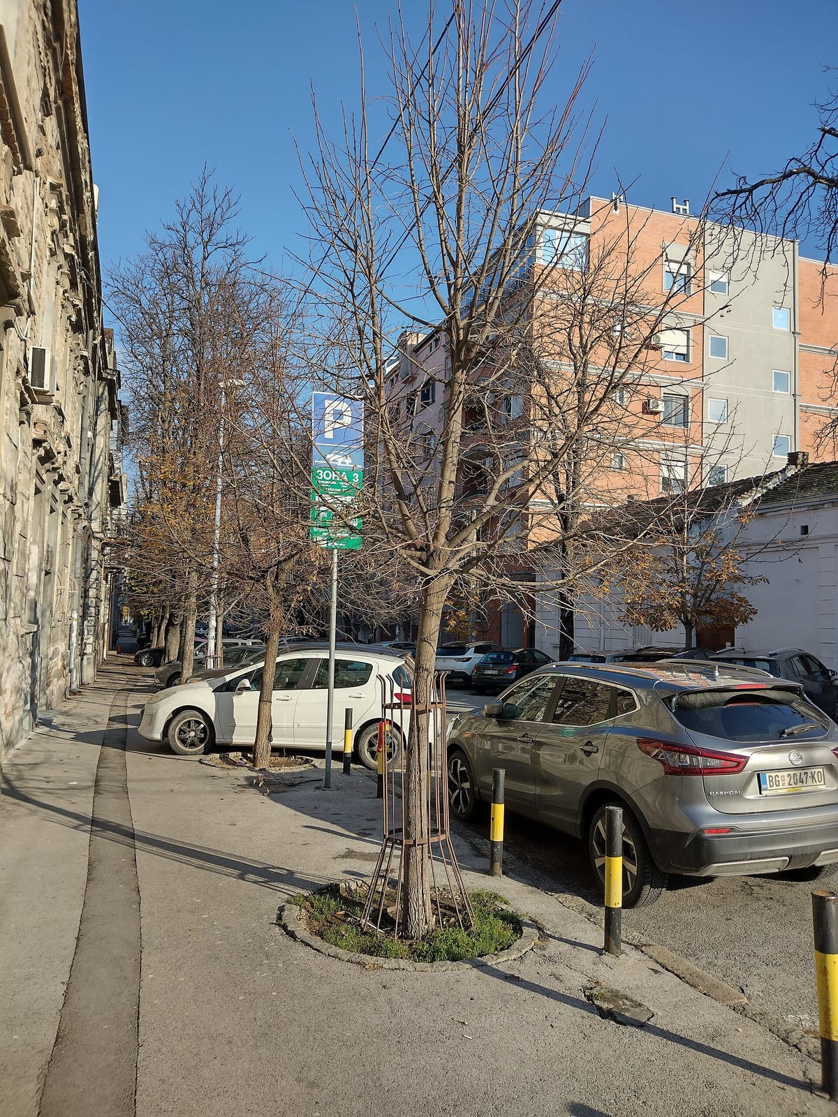 Wagokoro photo 2