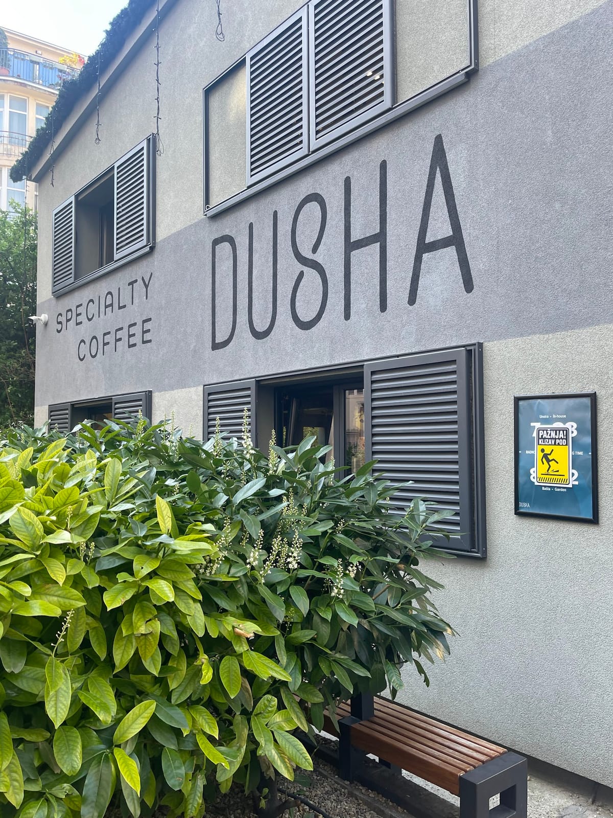 Dusha Specialty Coffee