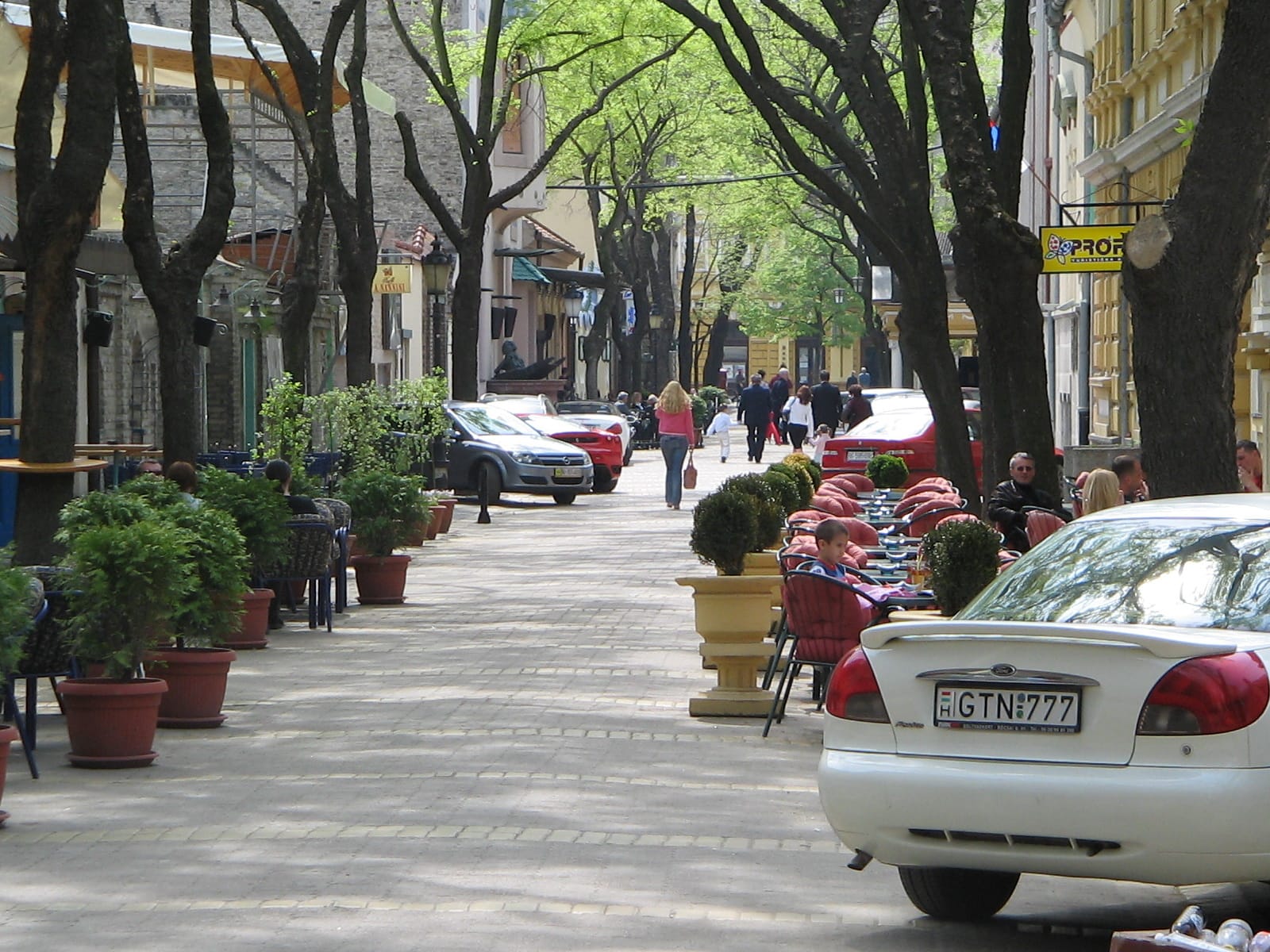 Kofilin photo 2