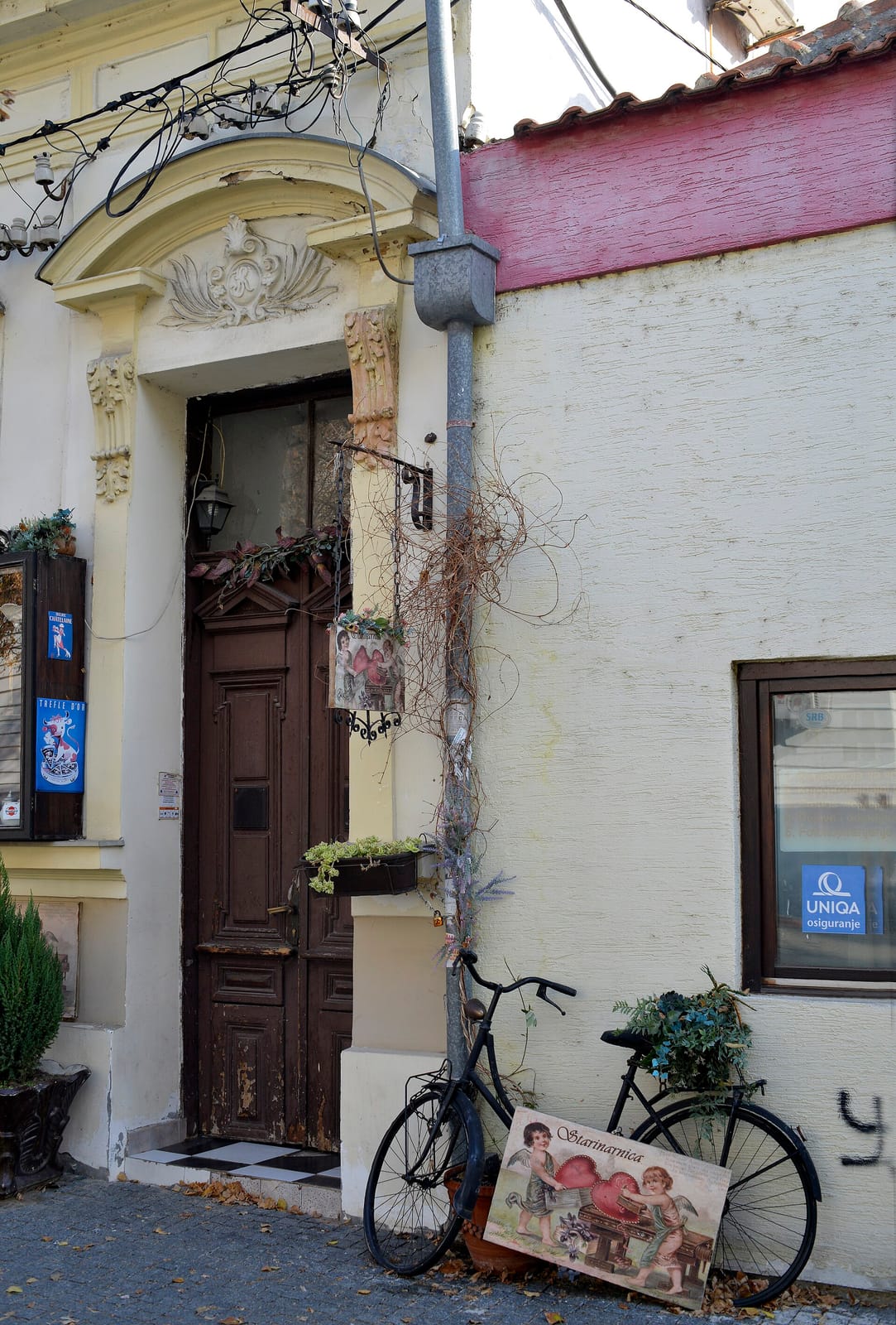 Caffe All'angolo photo 2