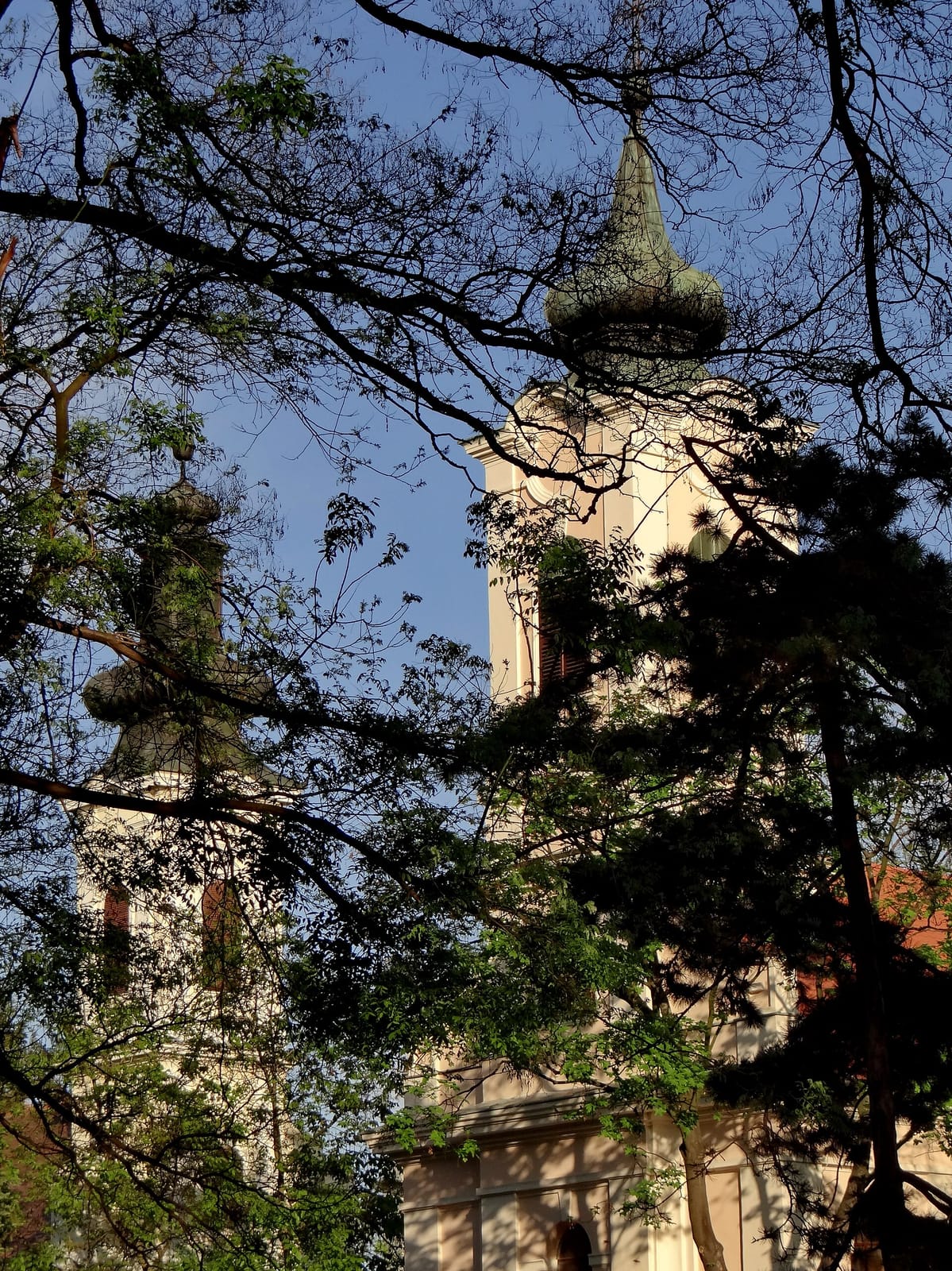 Central Park photo 2